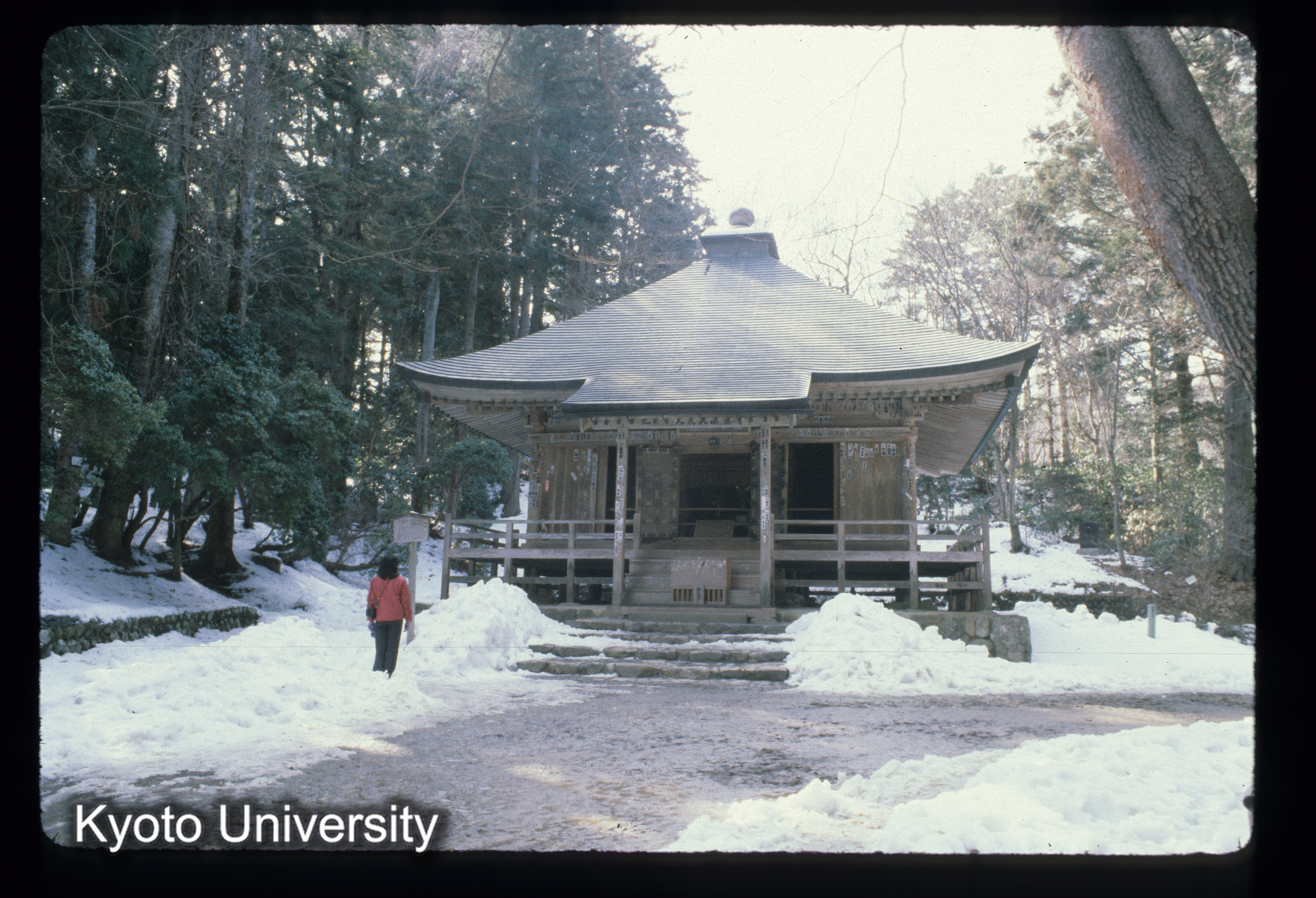 中尊寺 覆屋 (1)