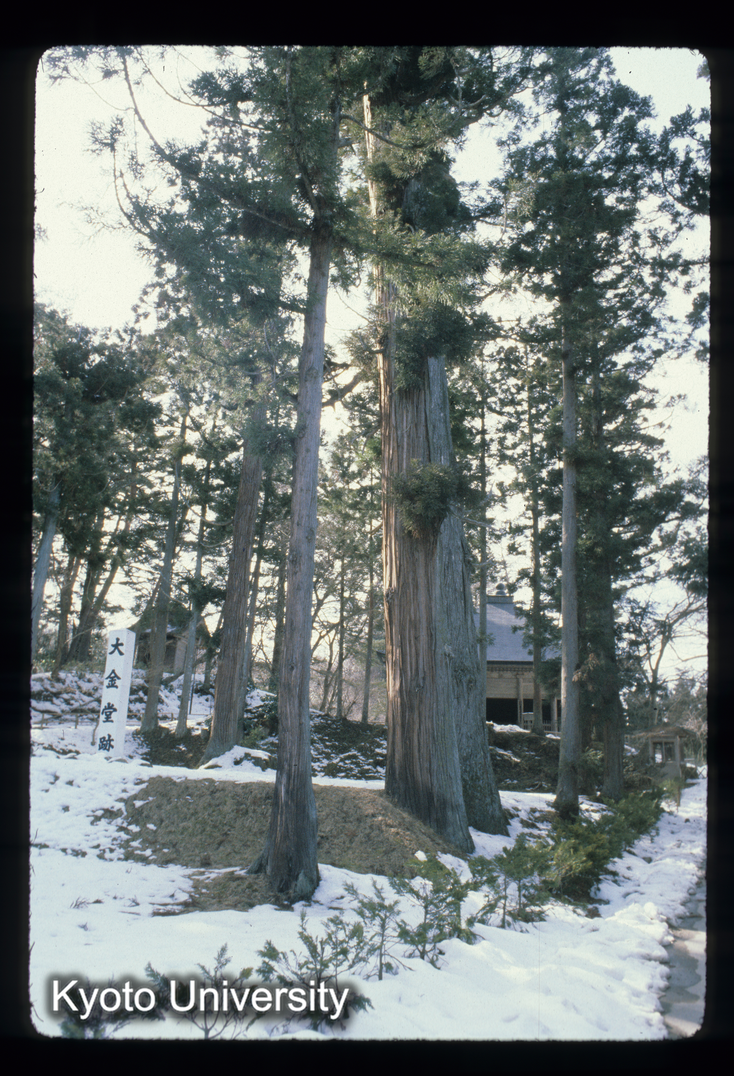 ［スライド］ (1)