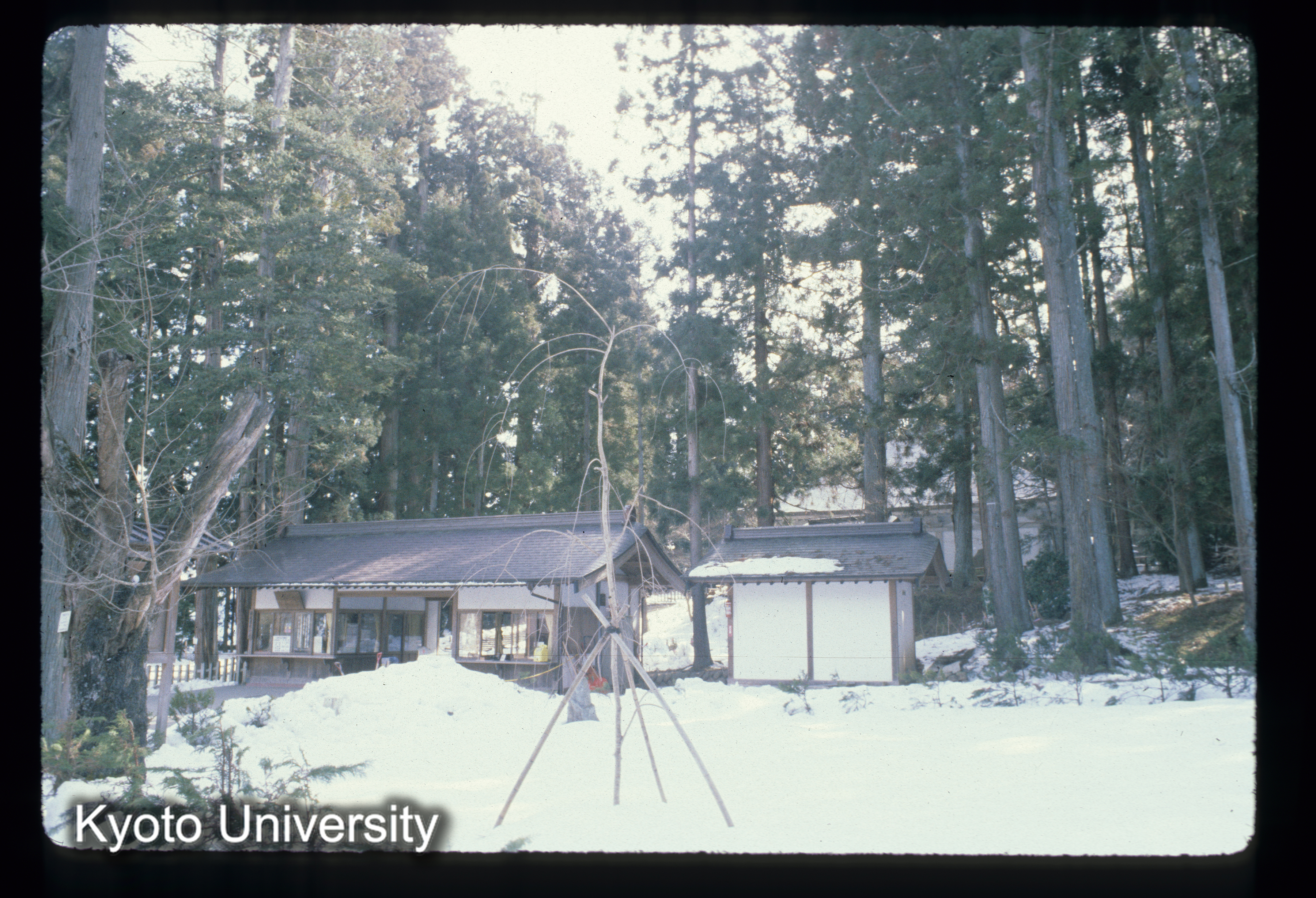 ［スライド］ (1)