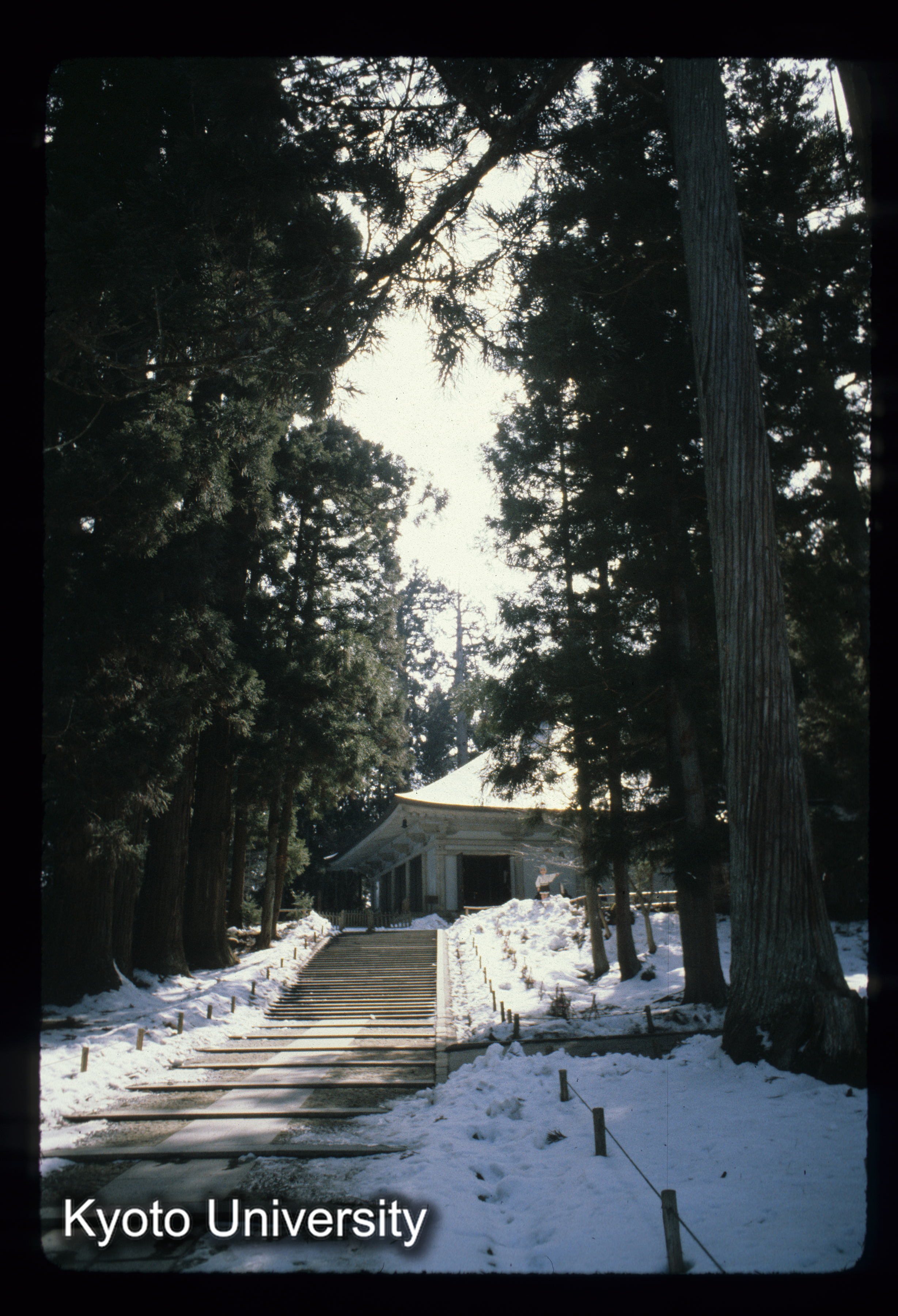 中尊寺金色堂 覆堂 RC (1)