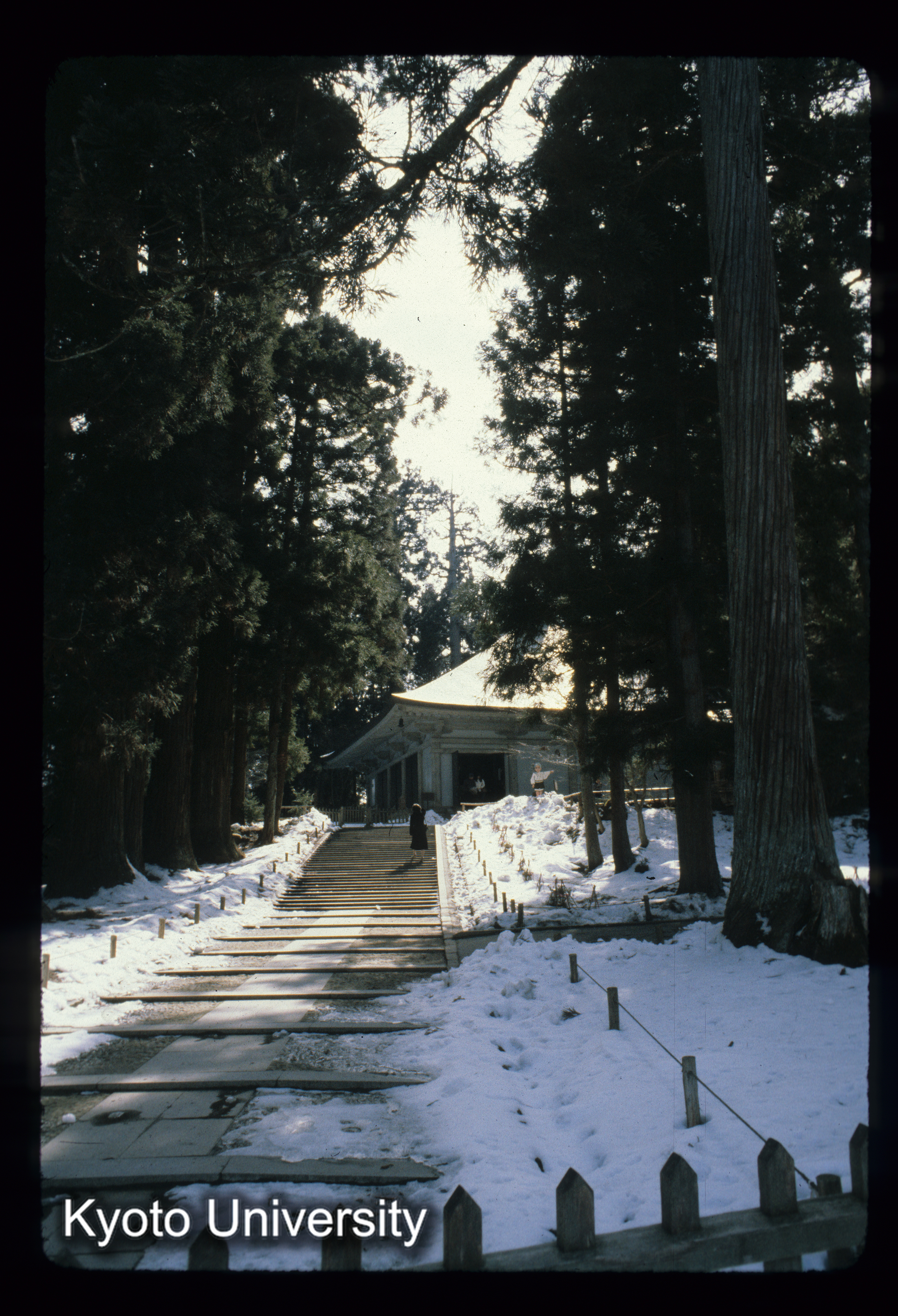 ［スライド］ (1)