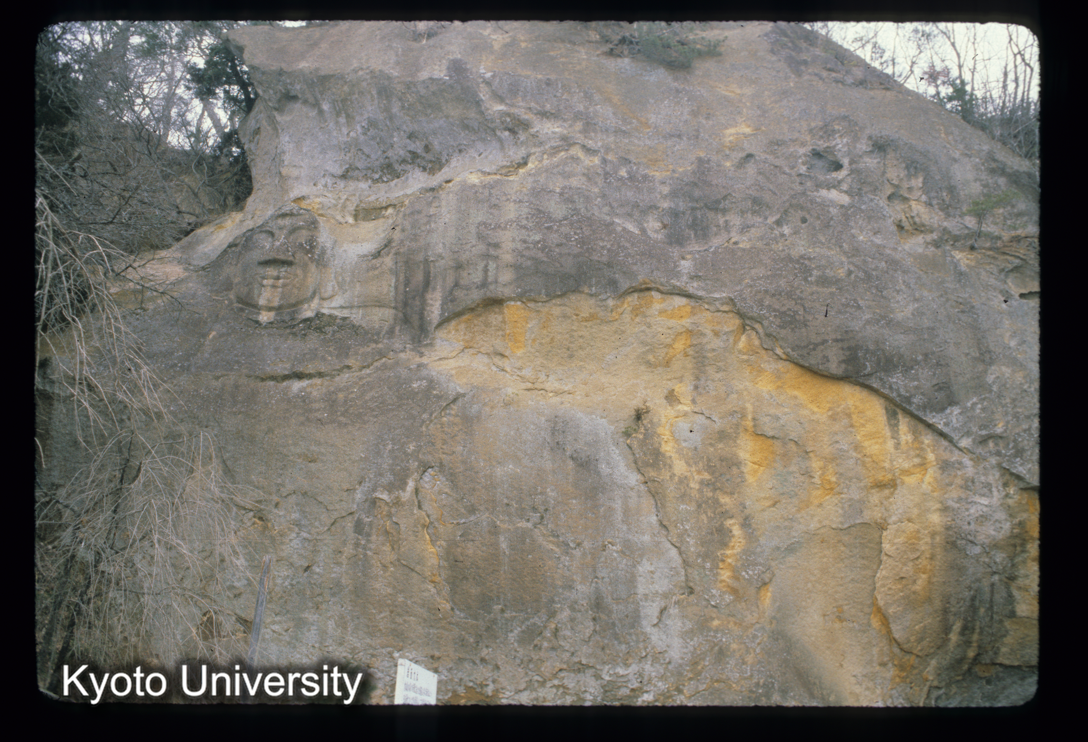 ［スライド］ (1)