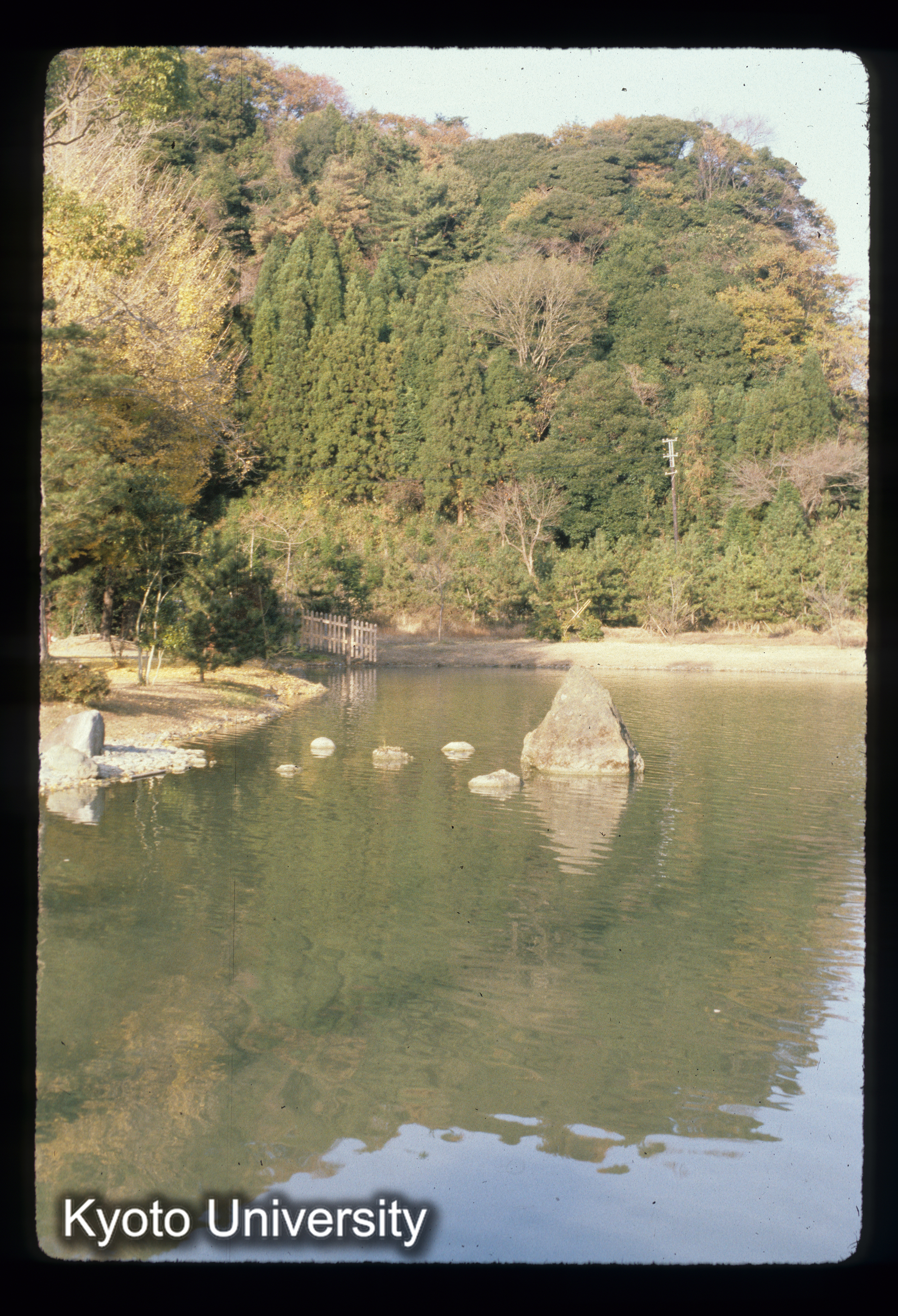 ［スライド］ (1)