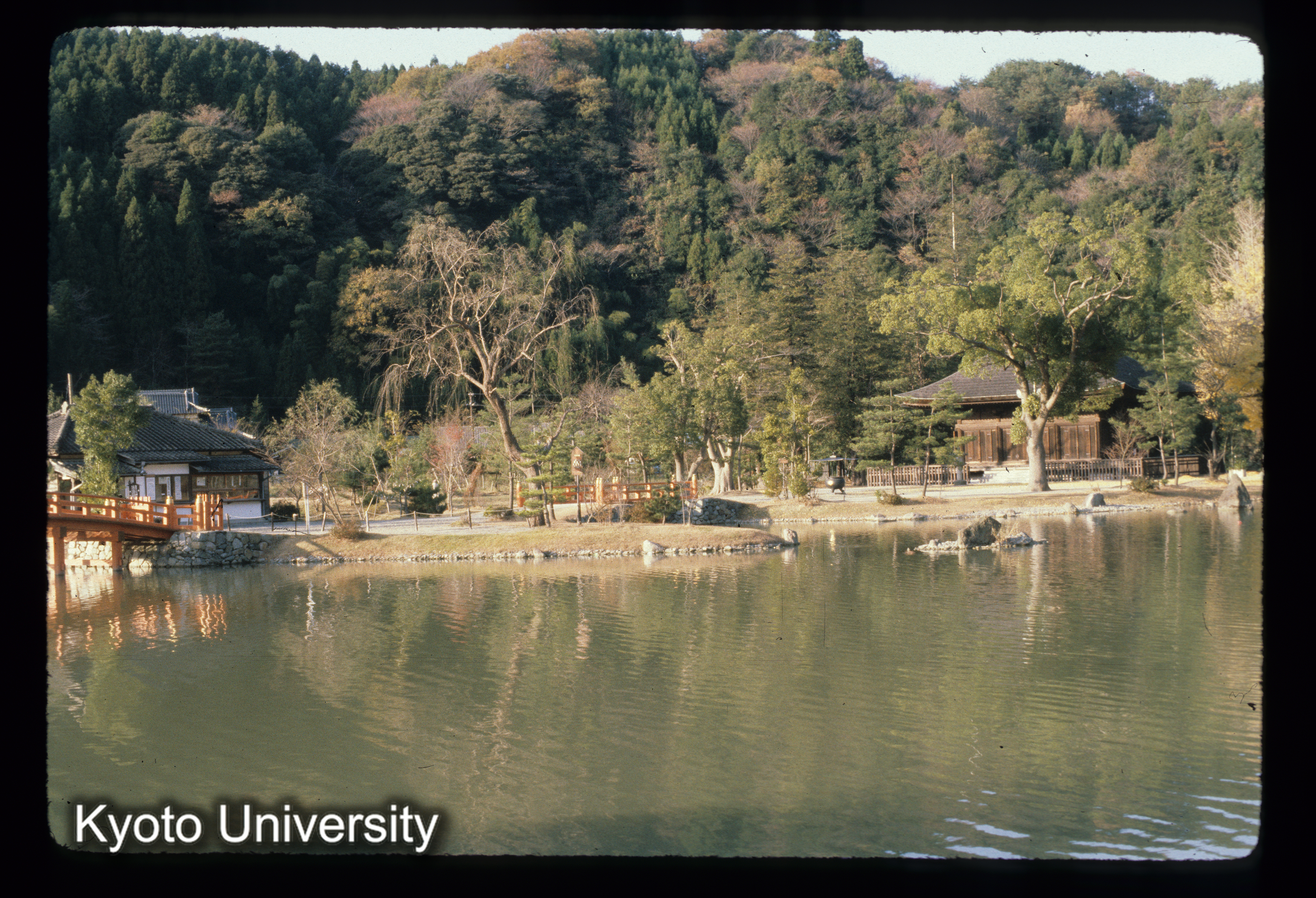 ［スライド］ (1)