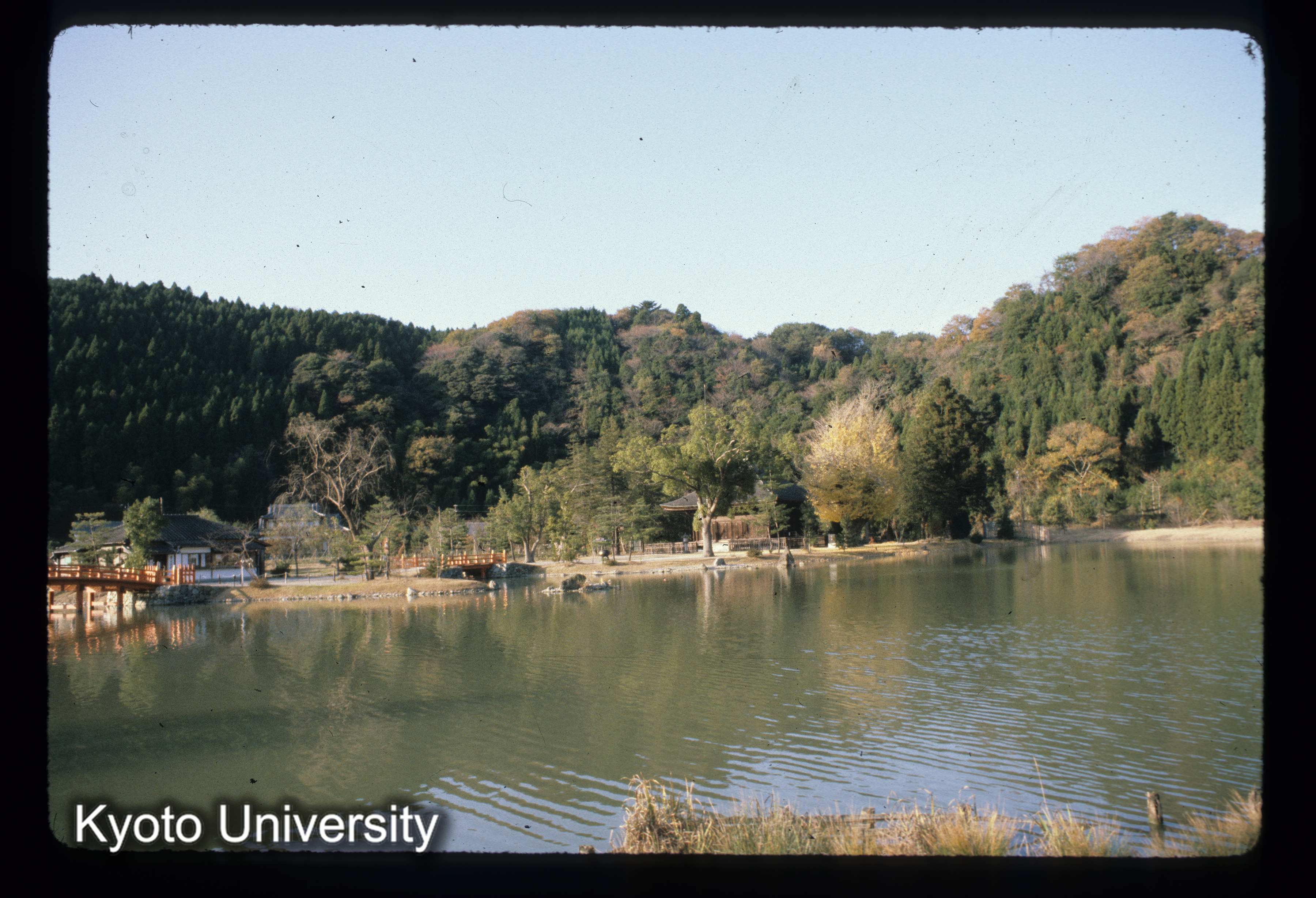 ［スライド］ (1)