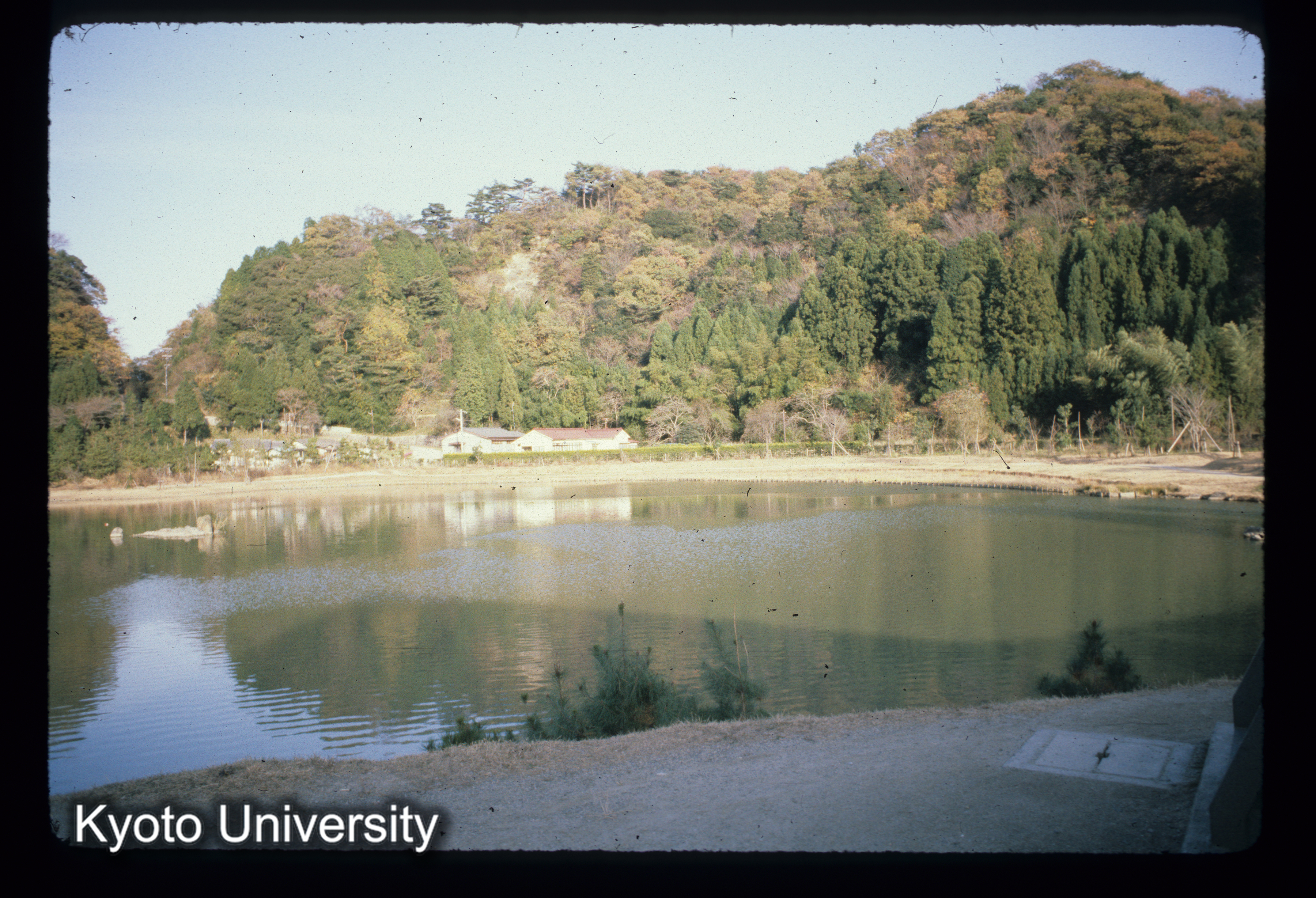 ［スライド］ (1)