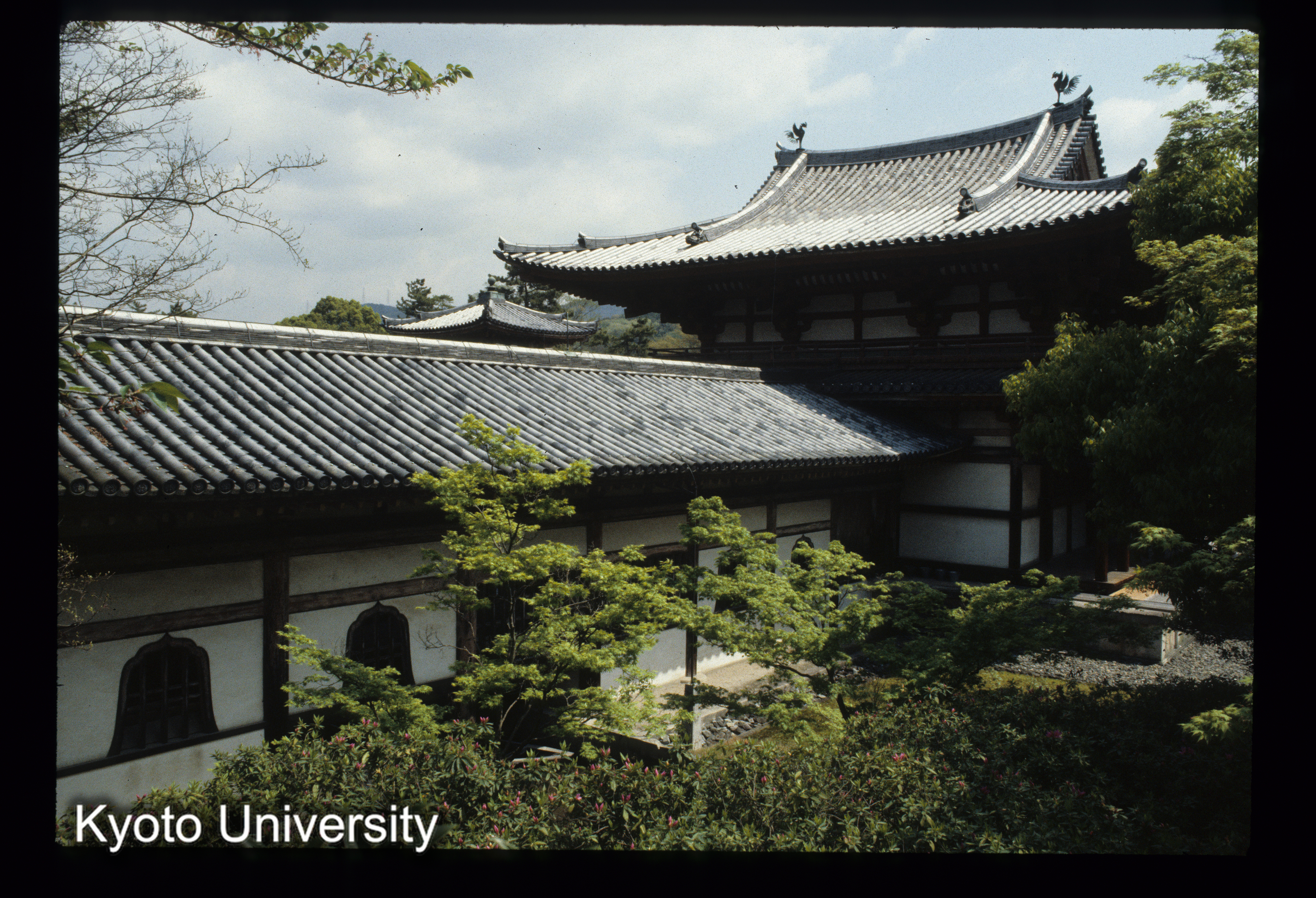 ［スライド］ (1)