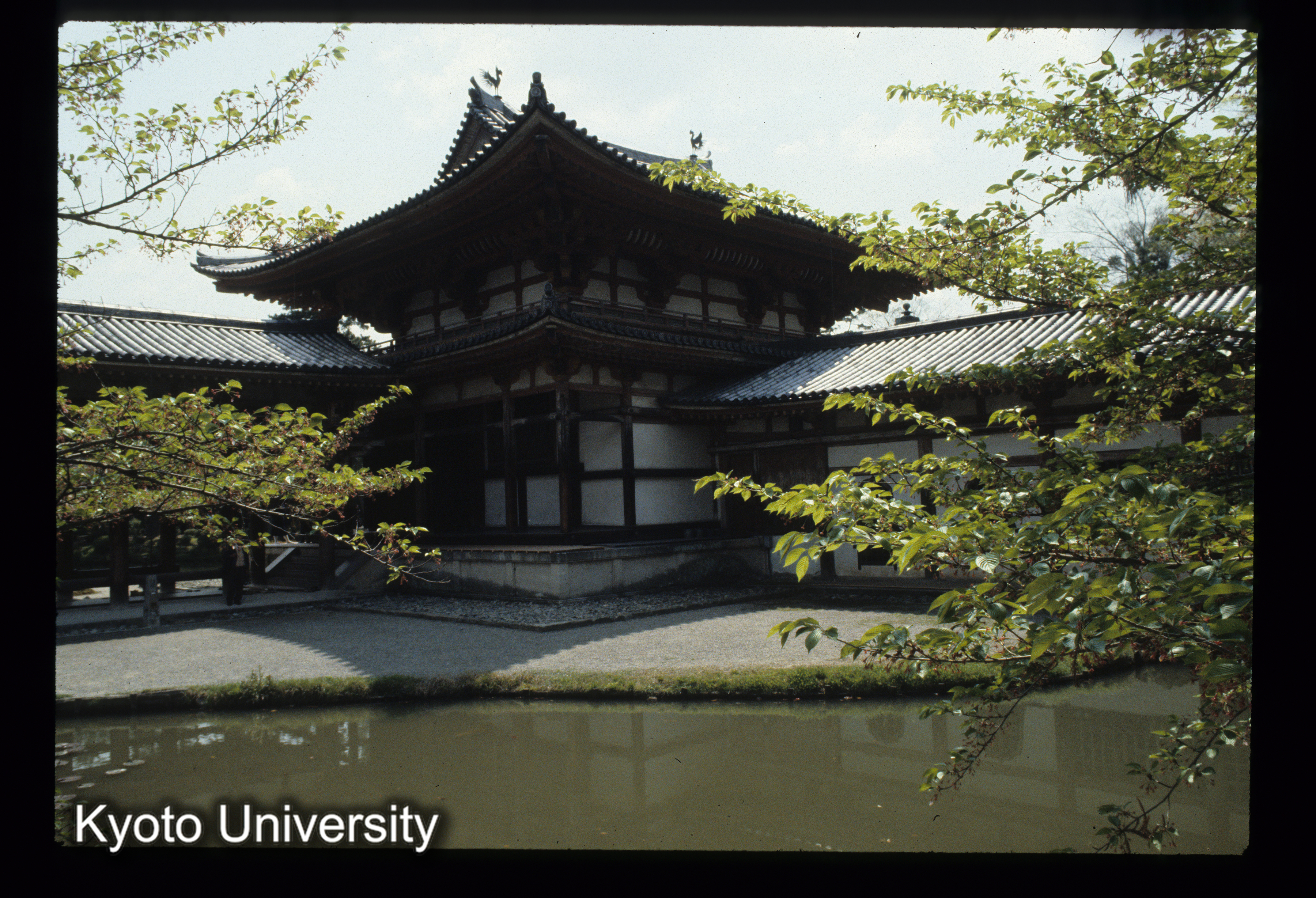 ［スライド］ (1)