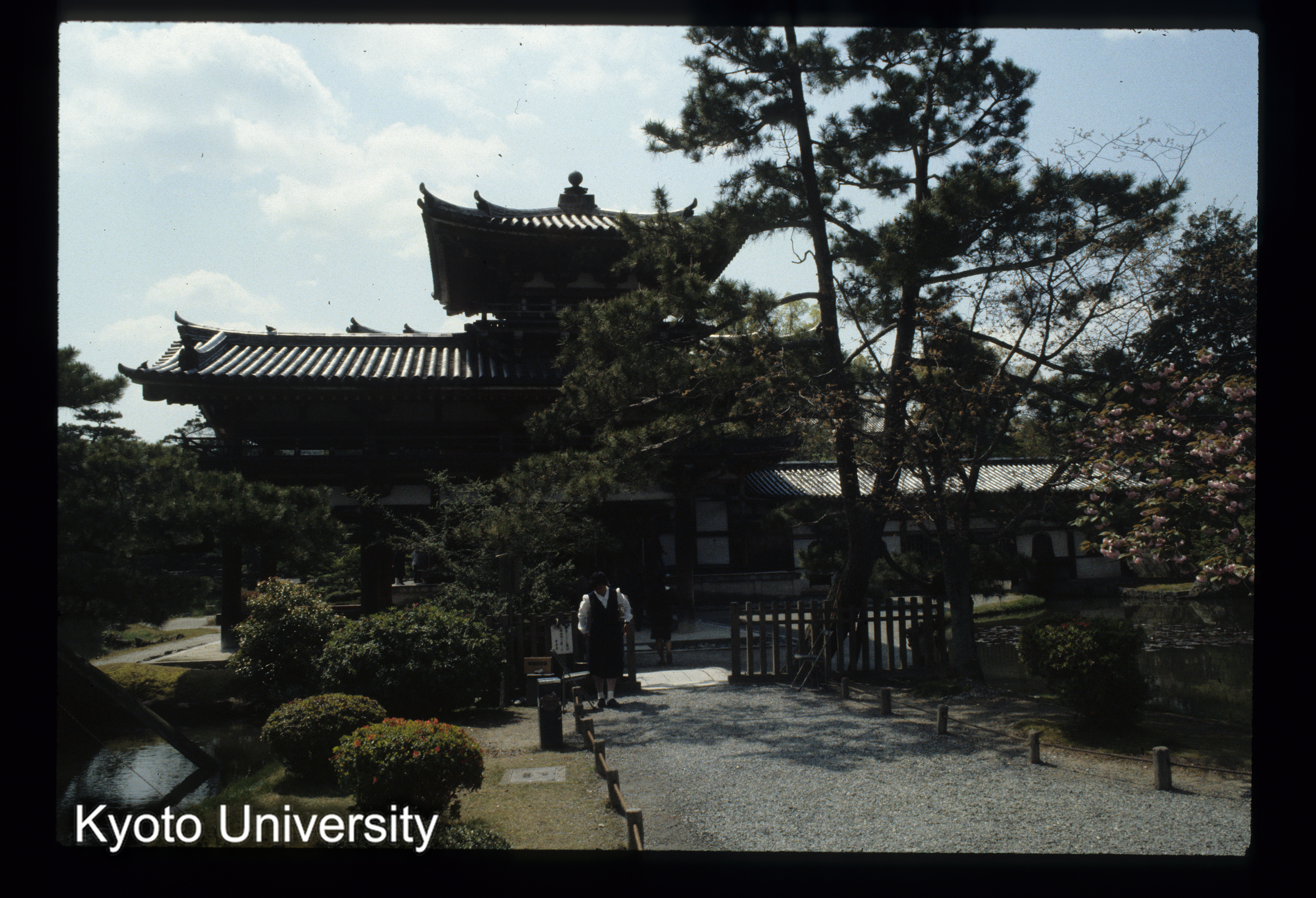 ［スライド］ (1)