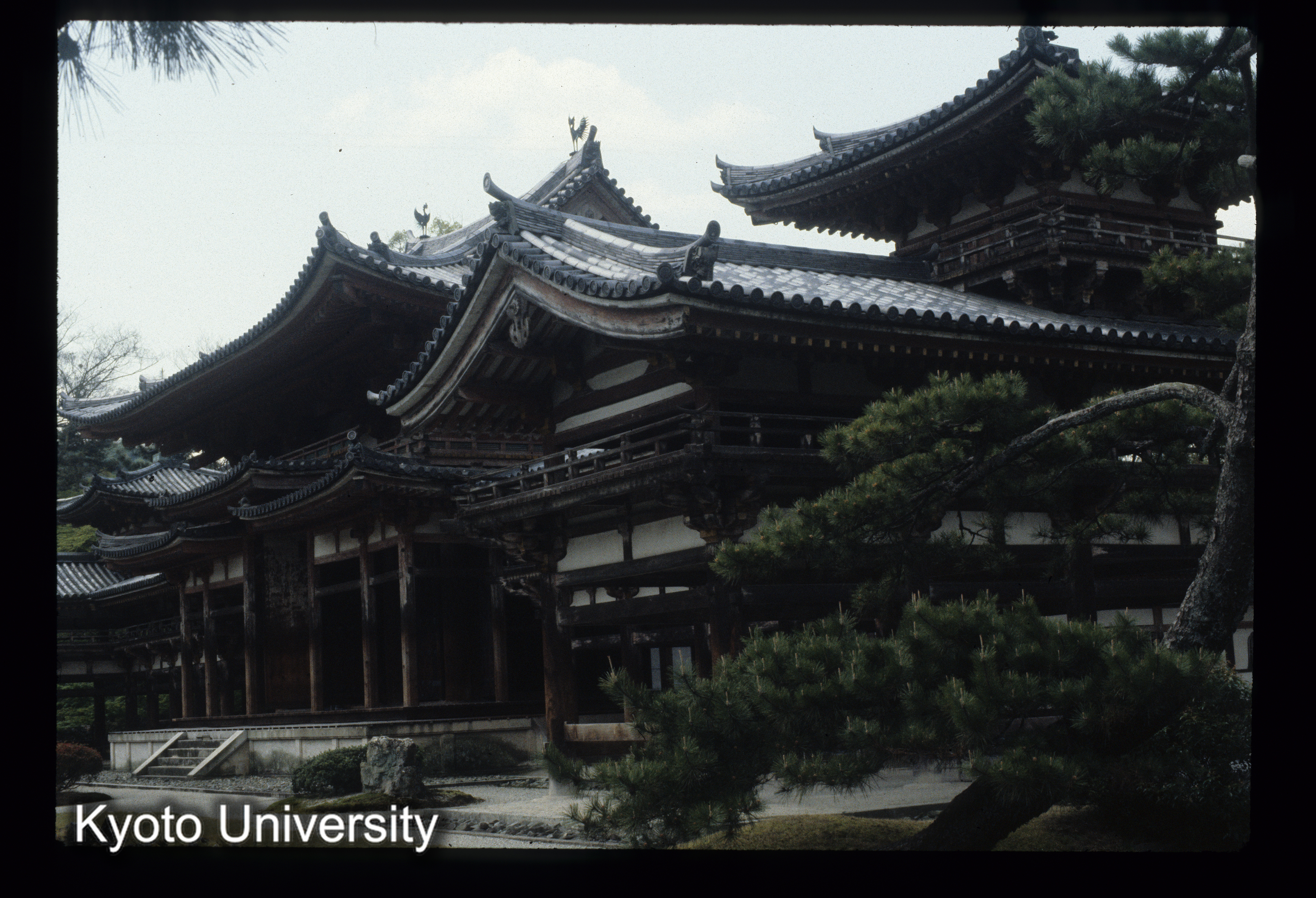 ［スライド］ (1)