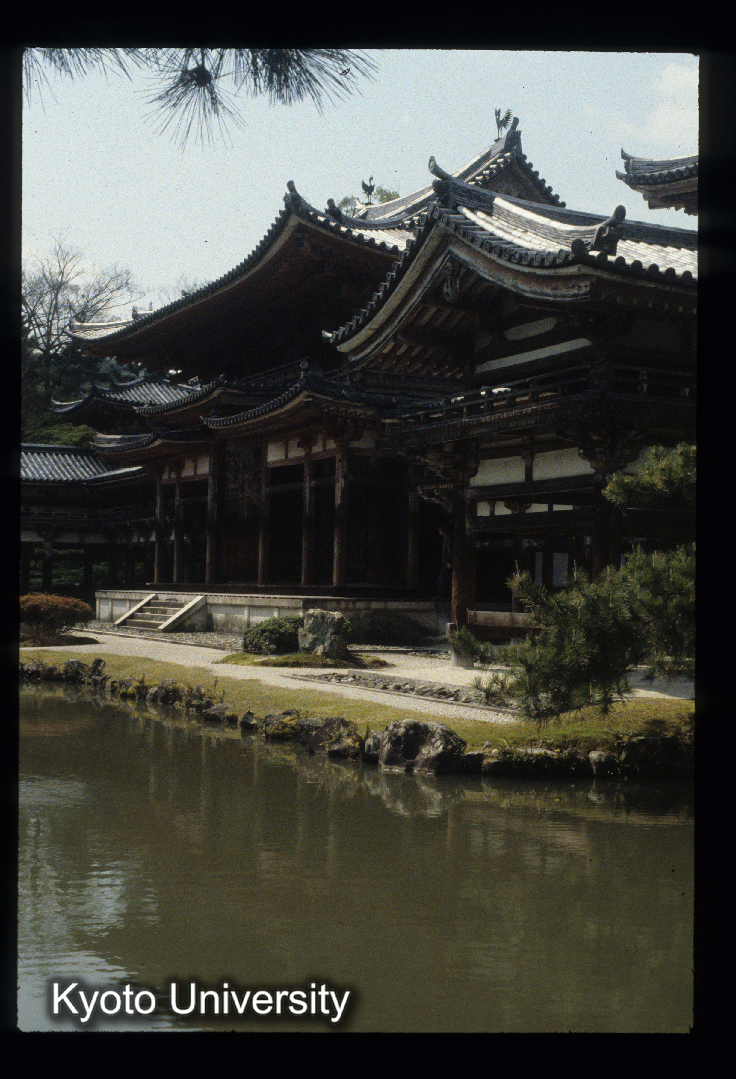 ［スライド］ (1)