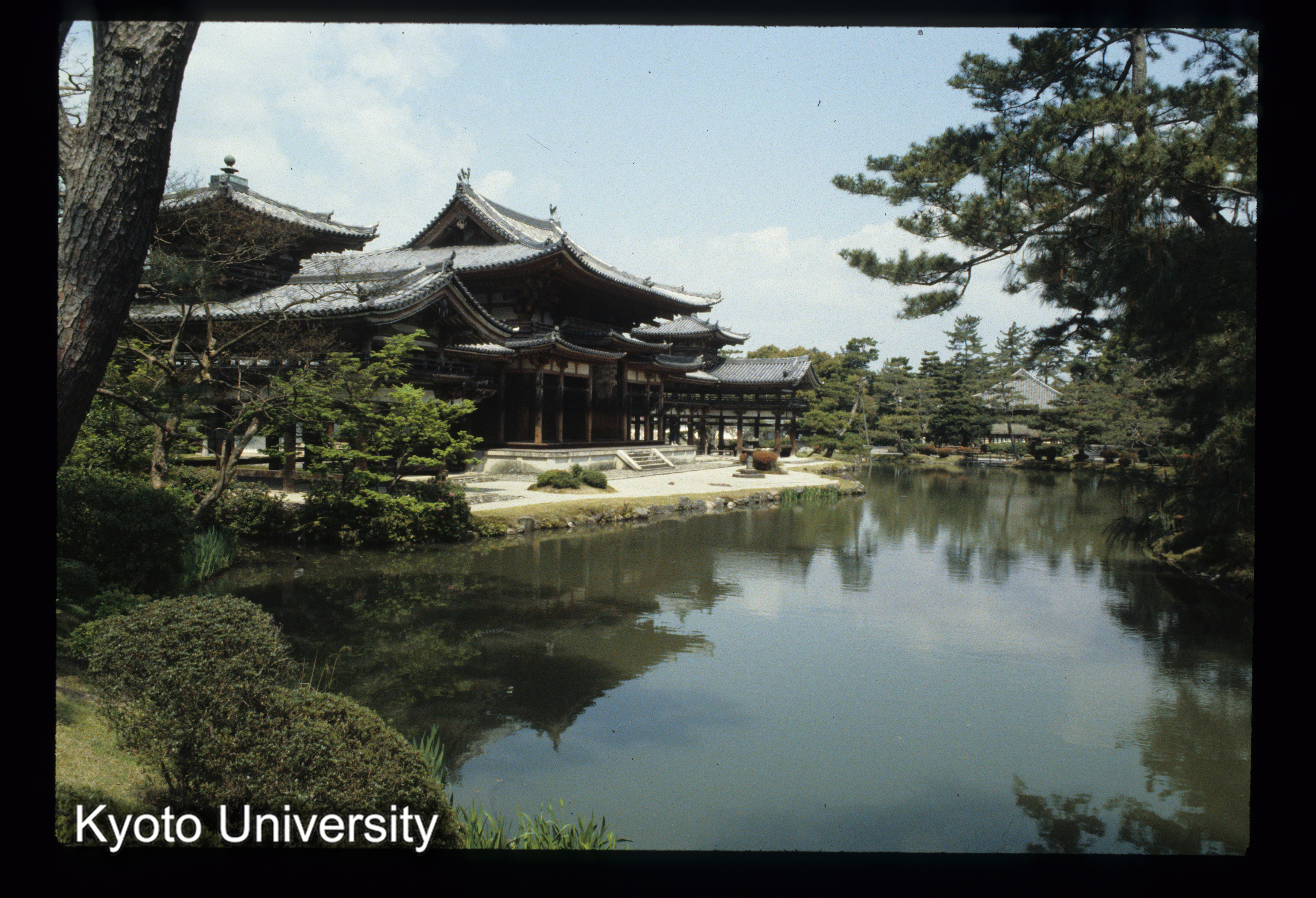 ［スライド］ (1)