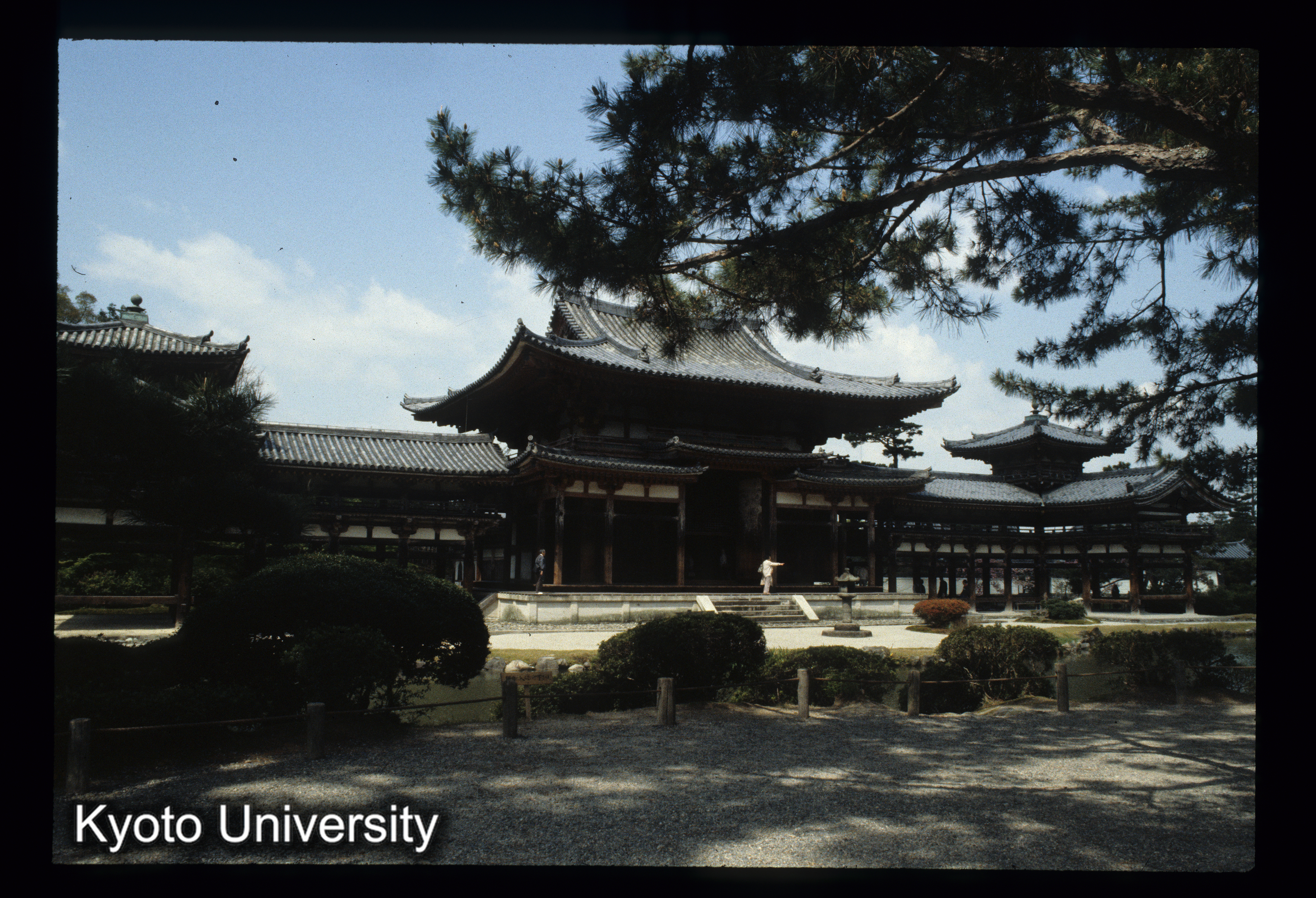 ［スライド］ (1)