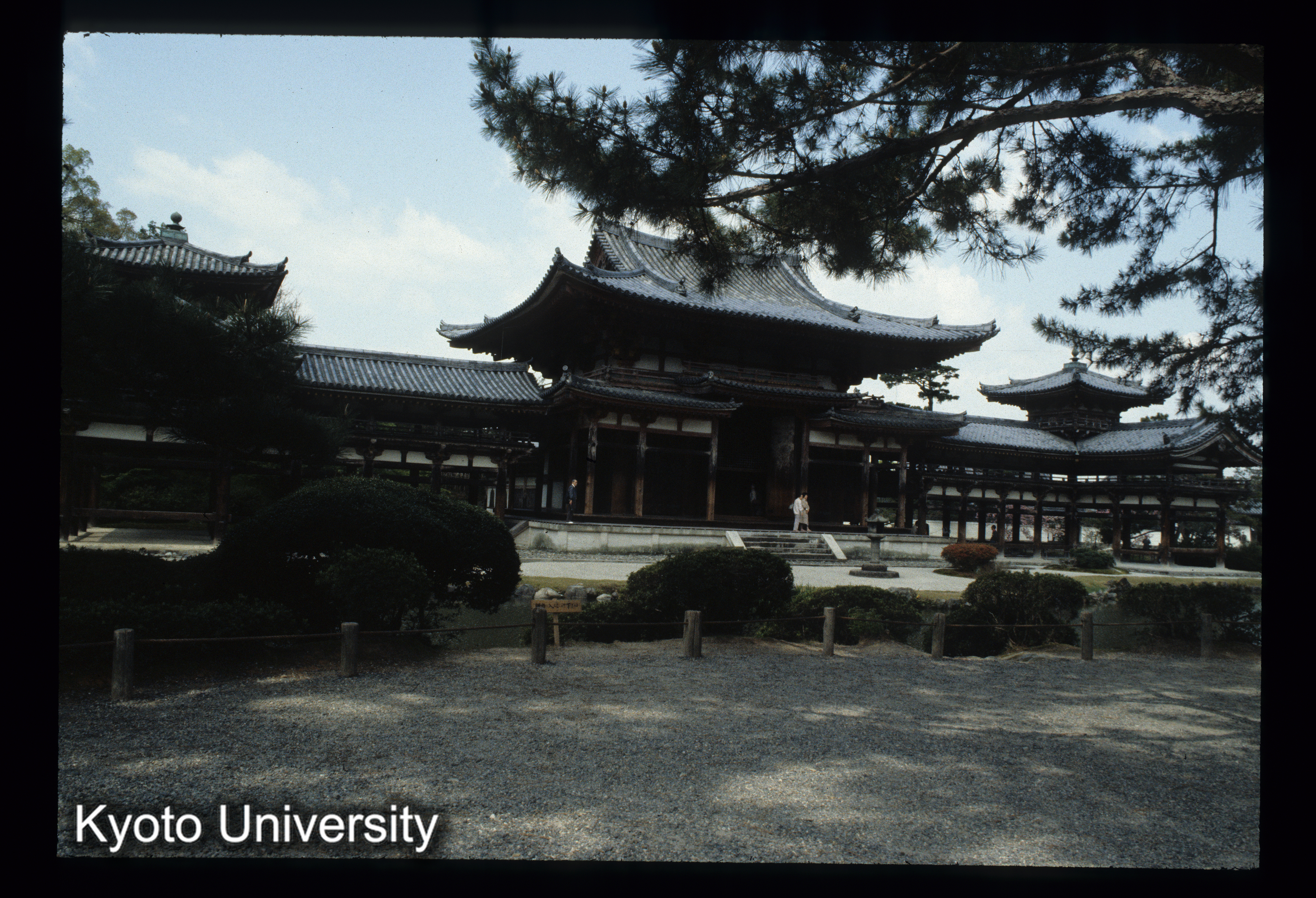 ［スライド］ (1)