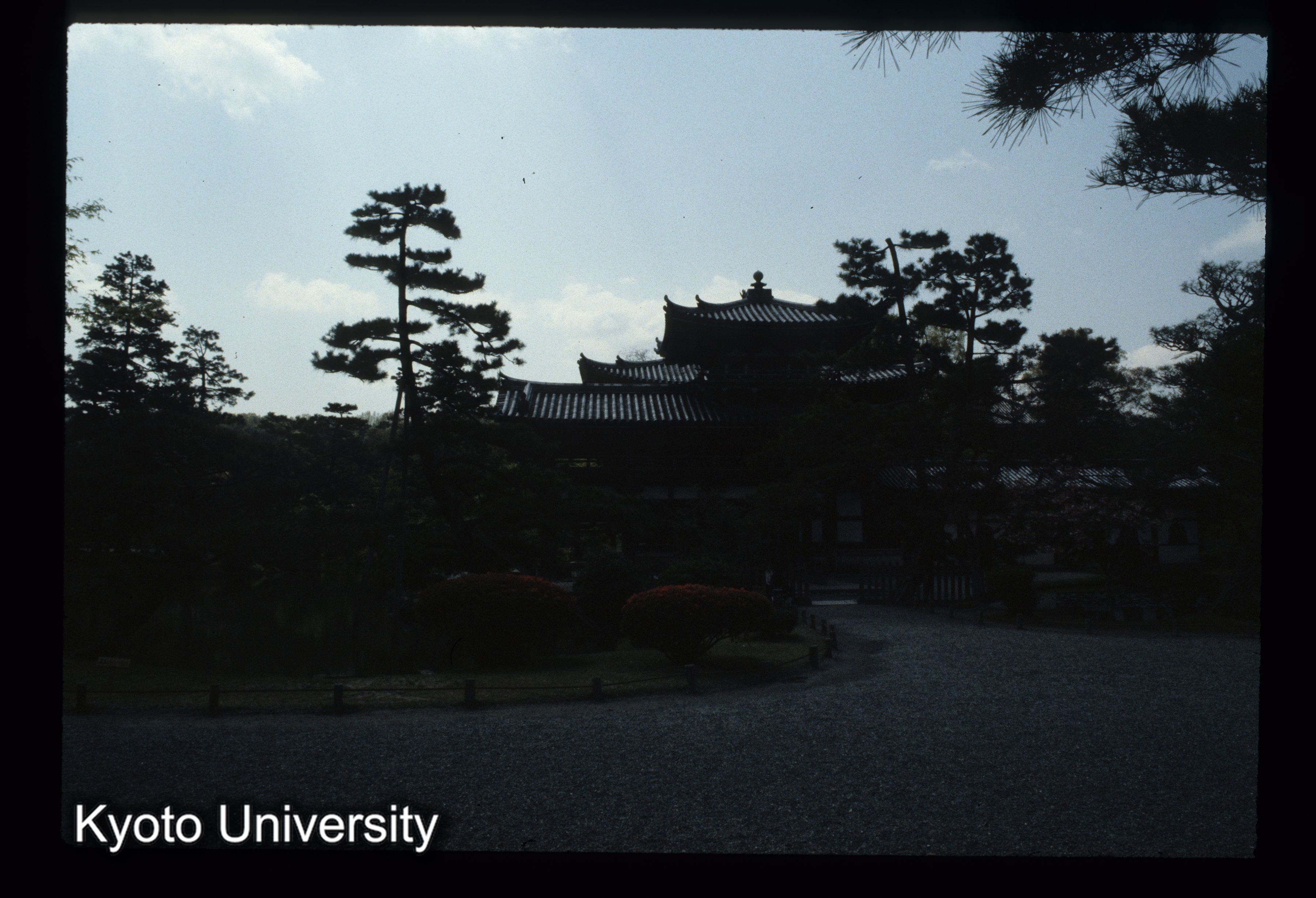 ［スライド］ (1)