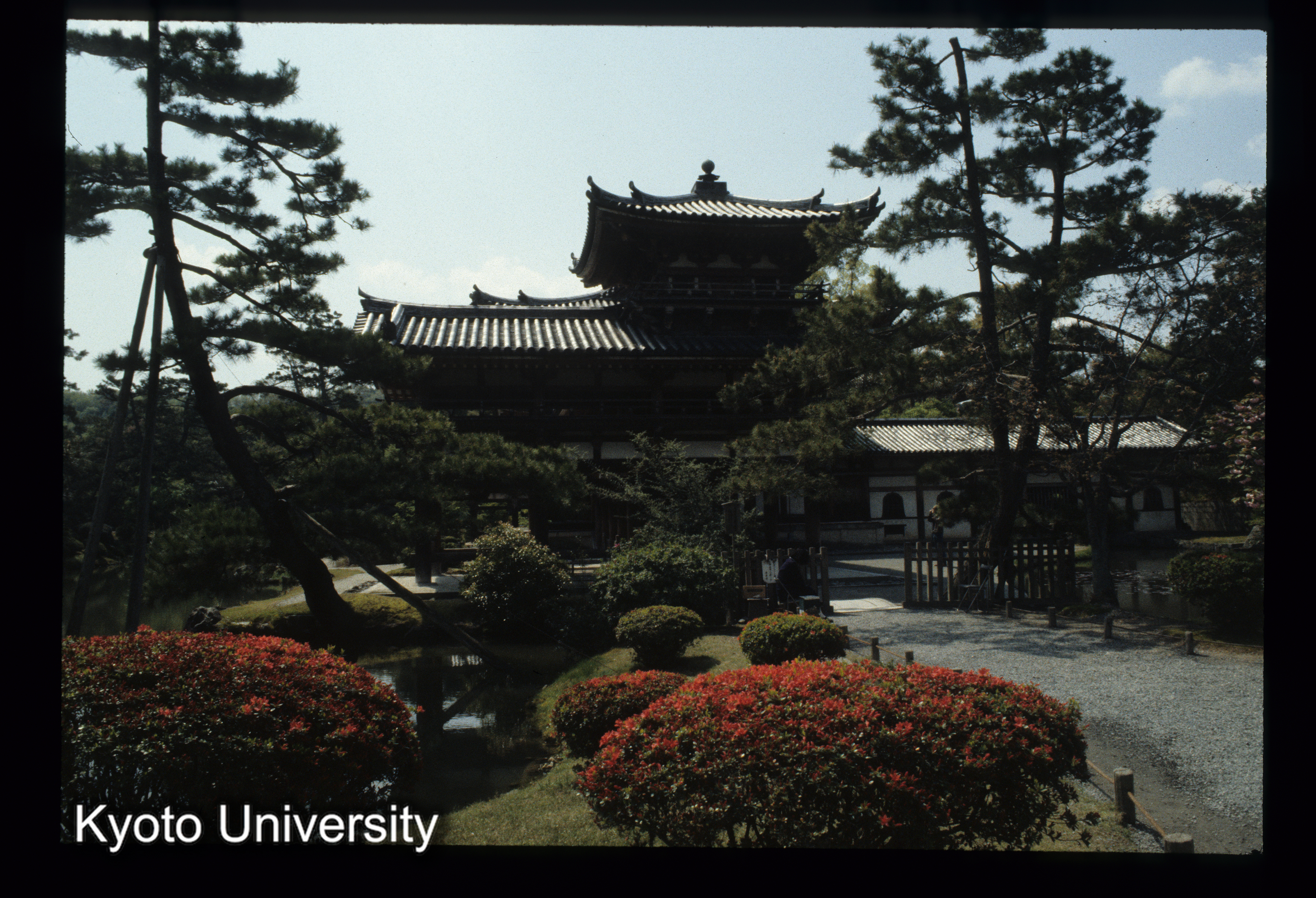 ［スライド］ (1)