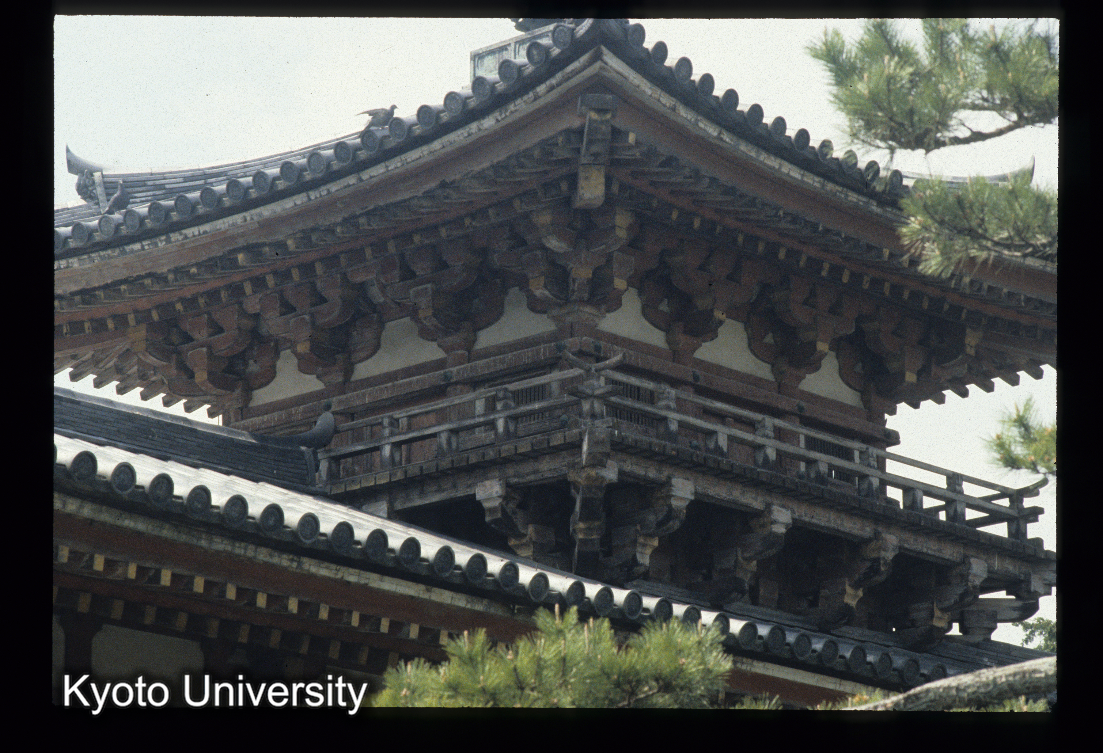 ［スライド］ (1)