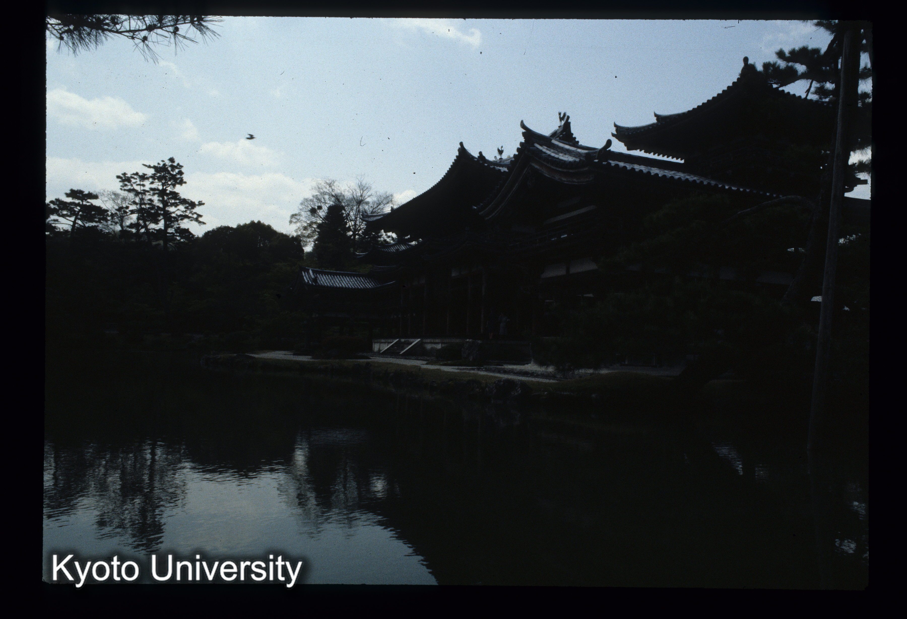 ［スライド］ (1)