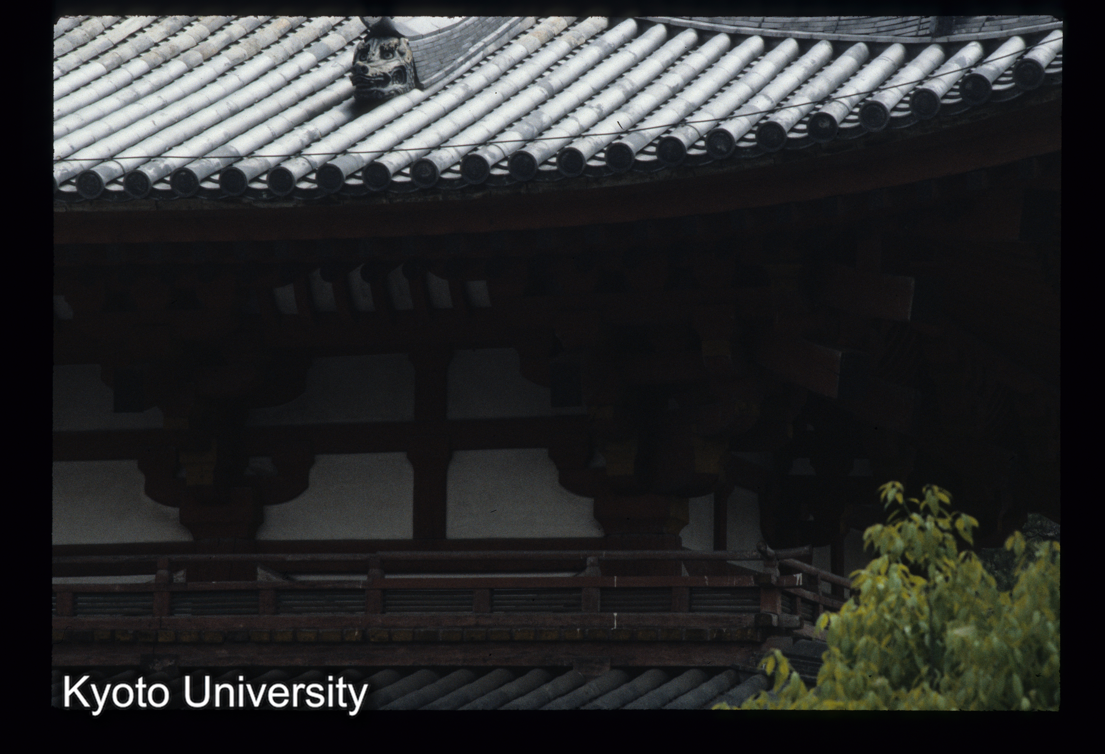 ［スライド］ (1)