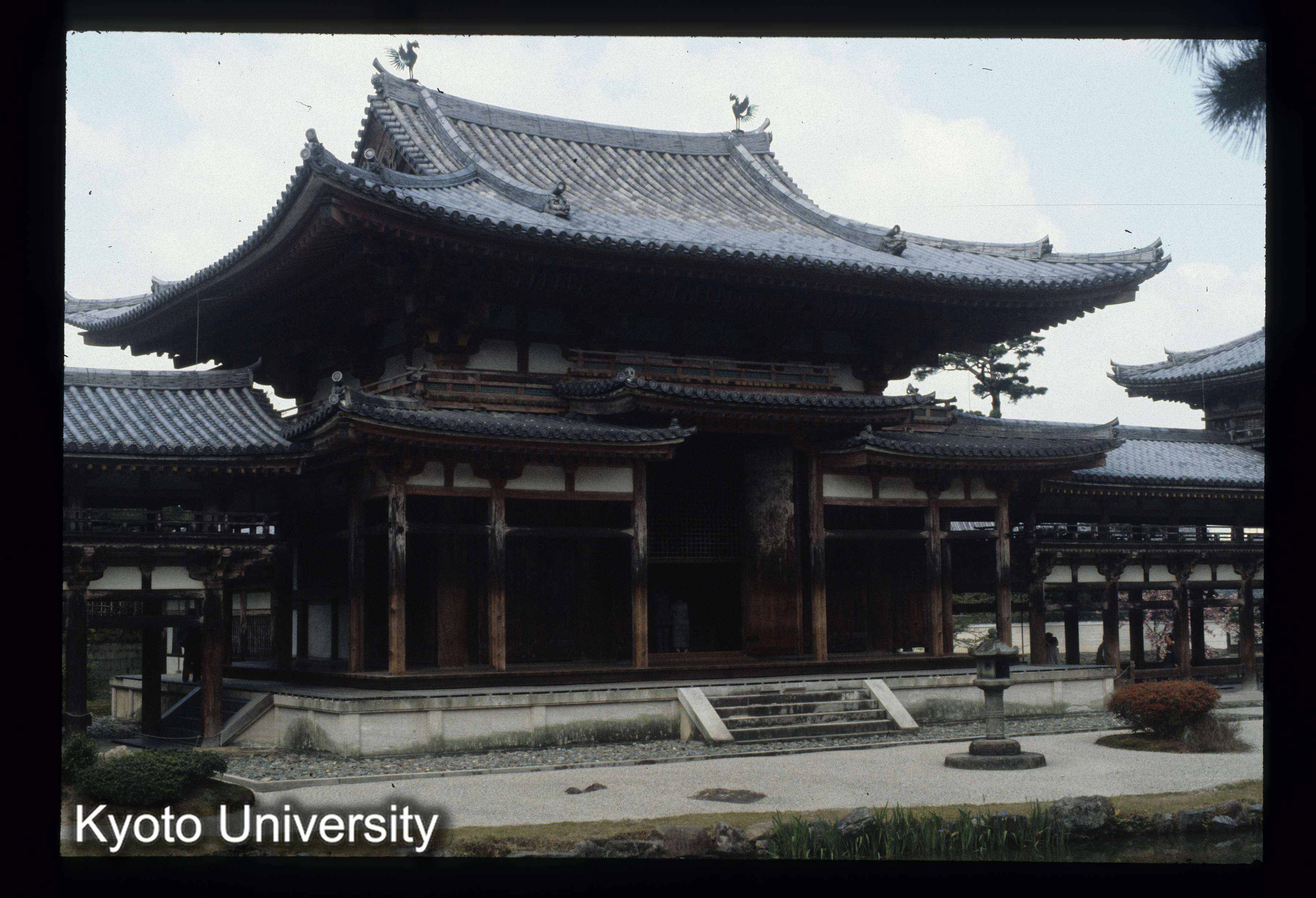 ［スライド］ (1)