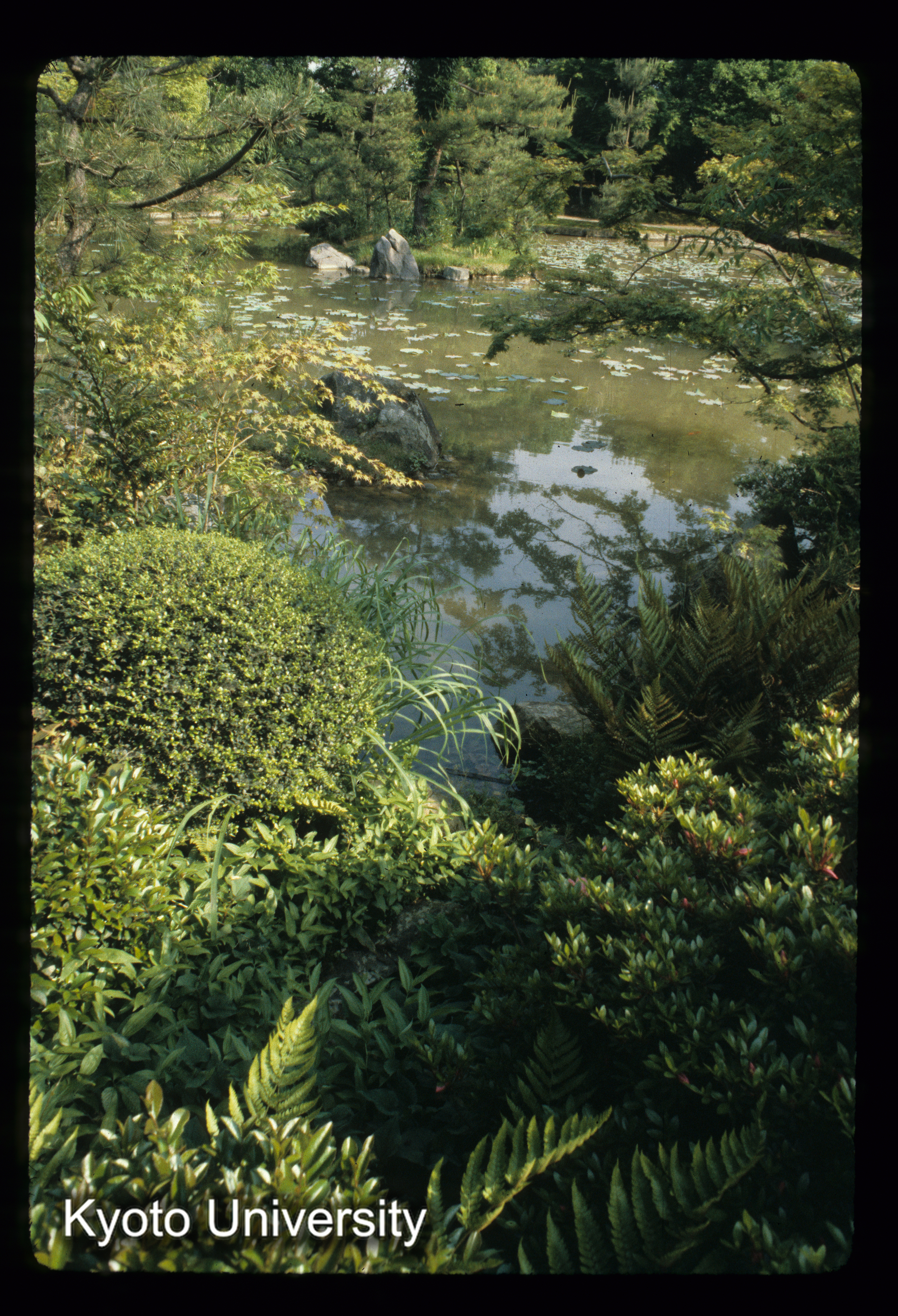 ［スライド］ (1)