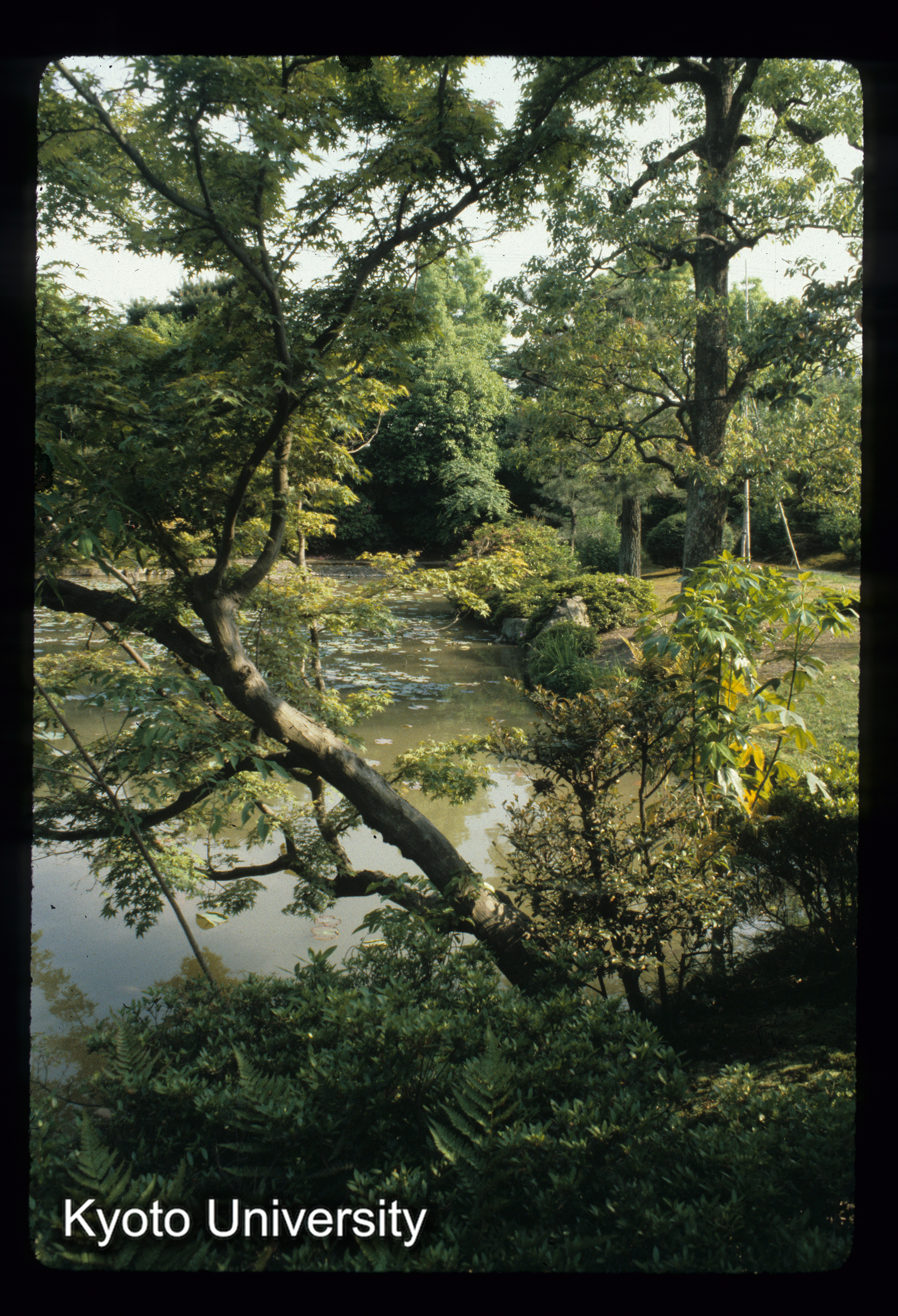 ［スライド］ (1)