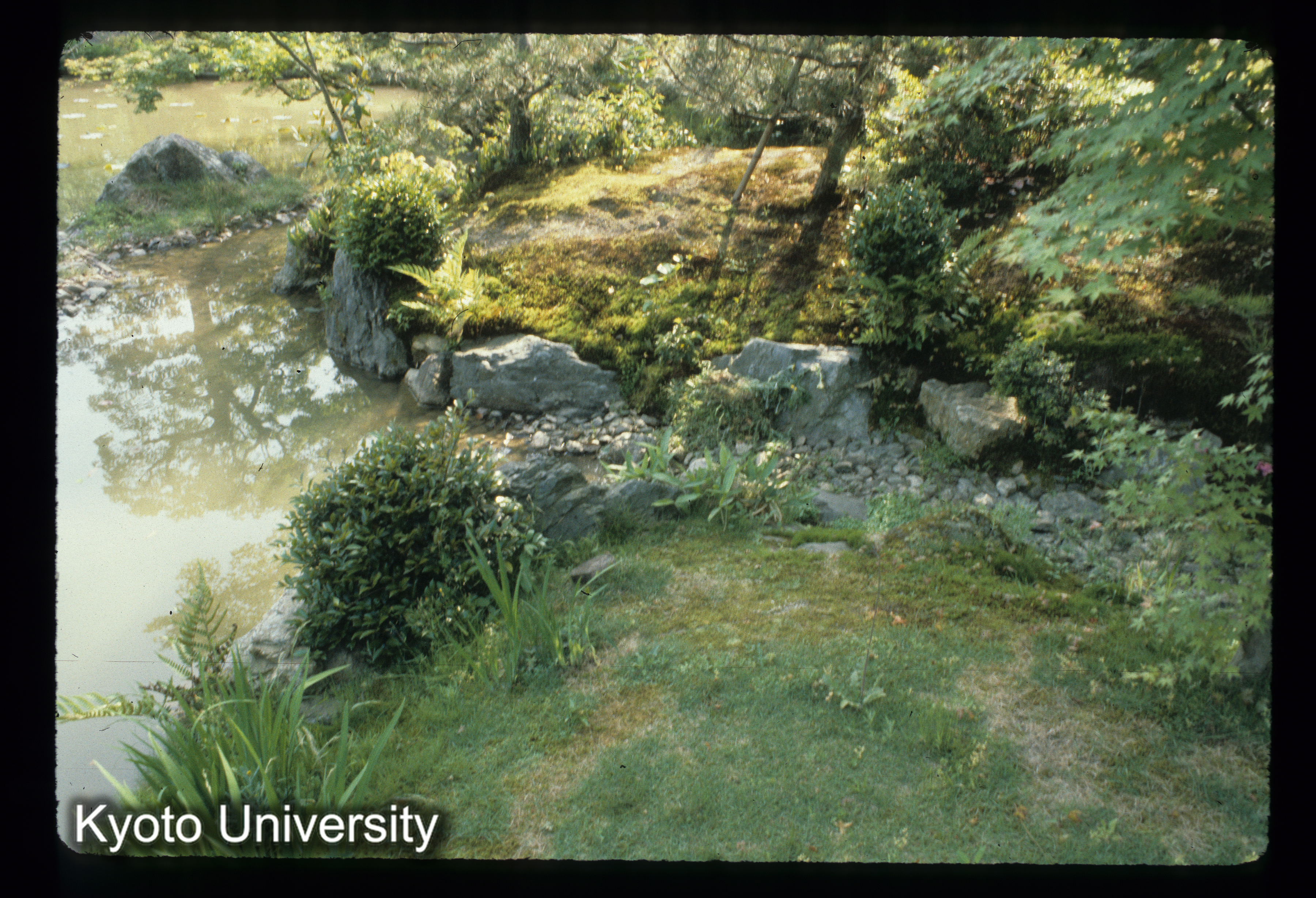 ［スライド］ (1)