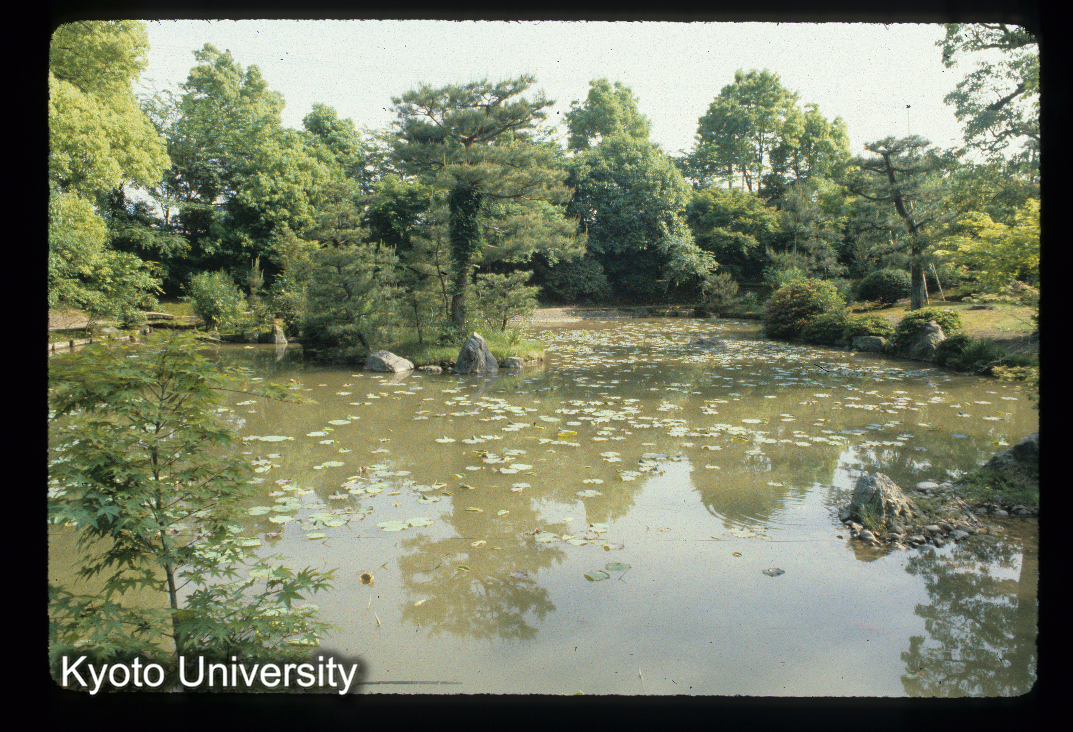 ［スライド］ (1)