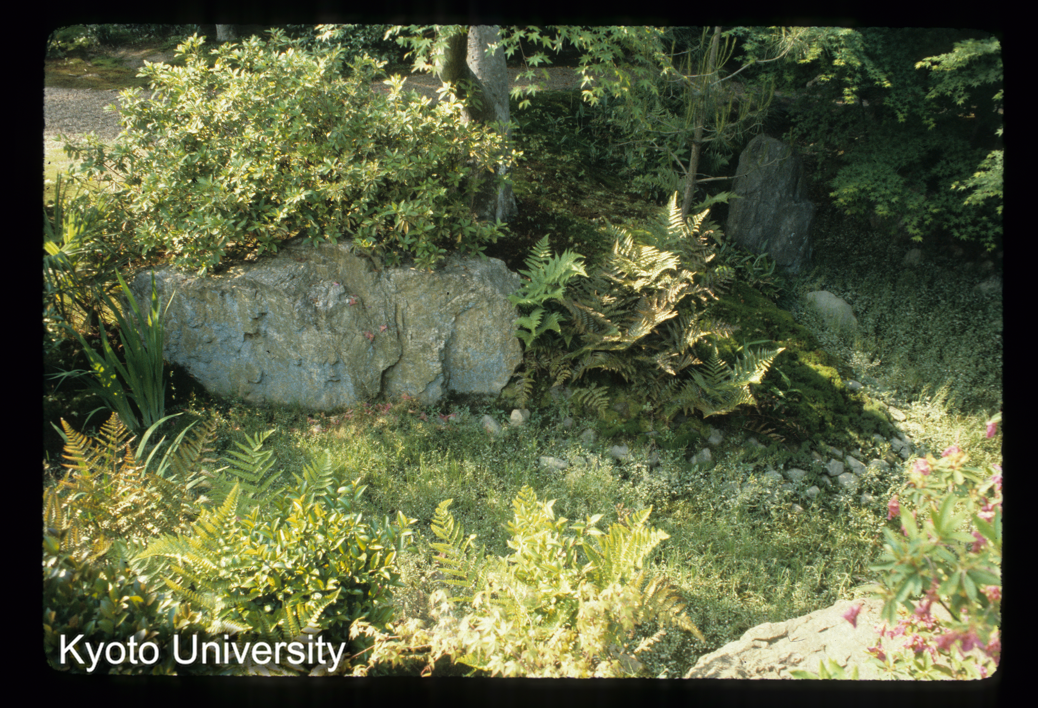 ［スライド］ (1)