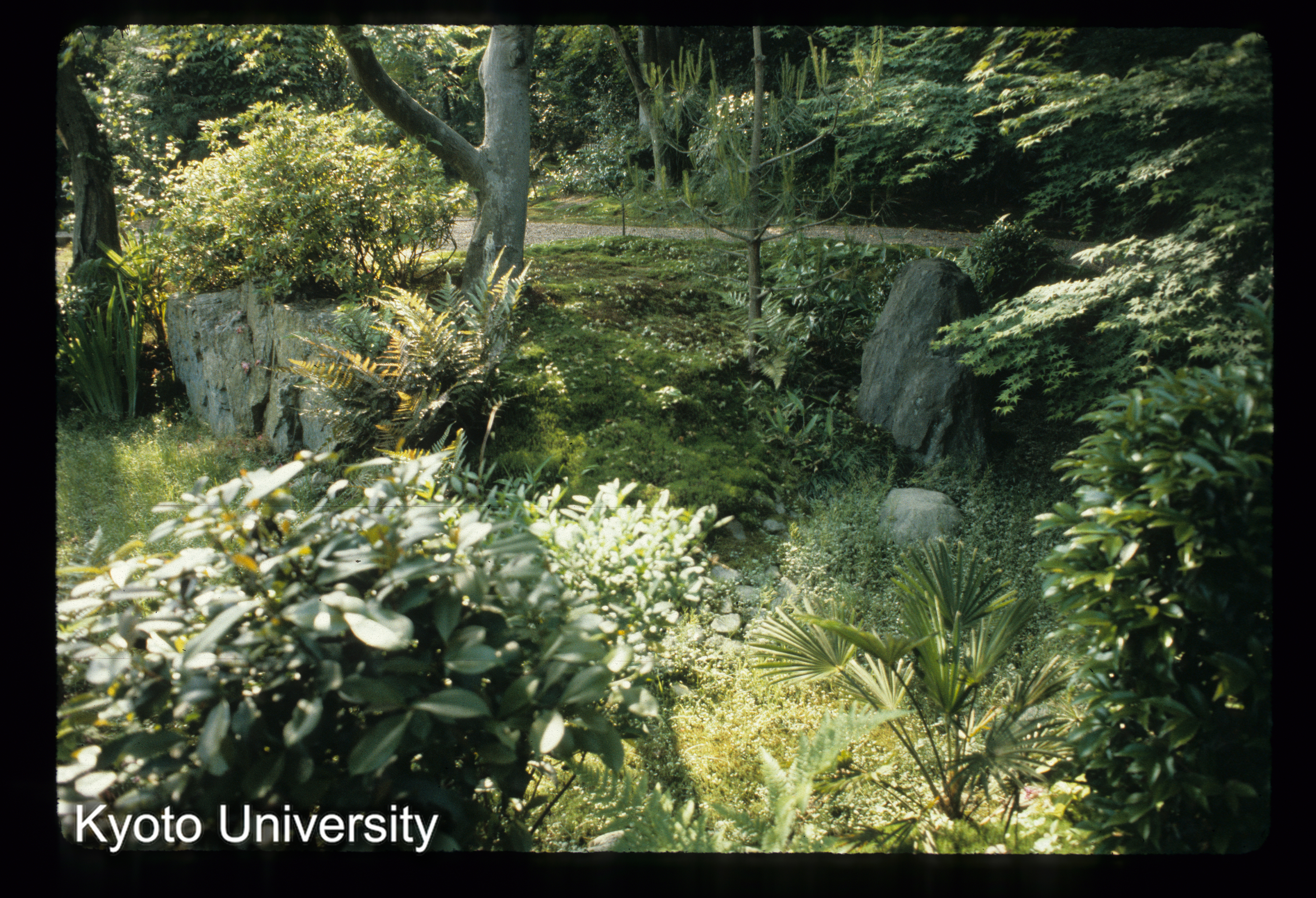 ［スライド］ (1)