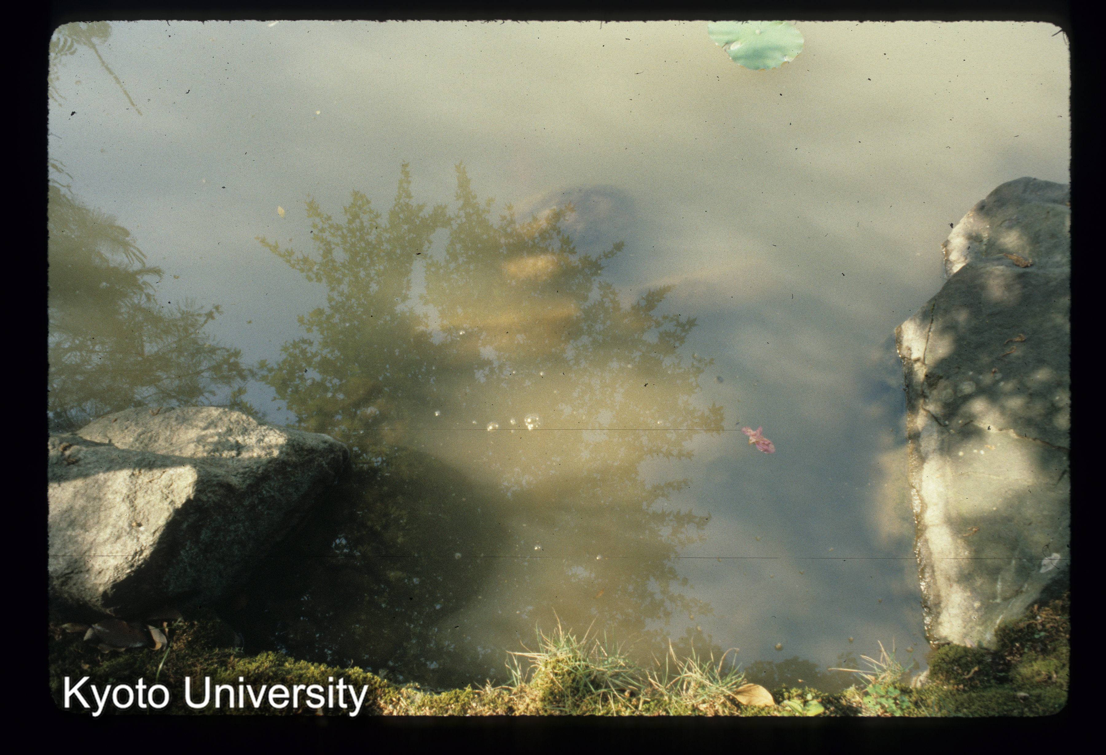 ［スライド］ (1)