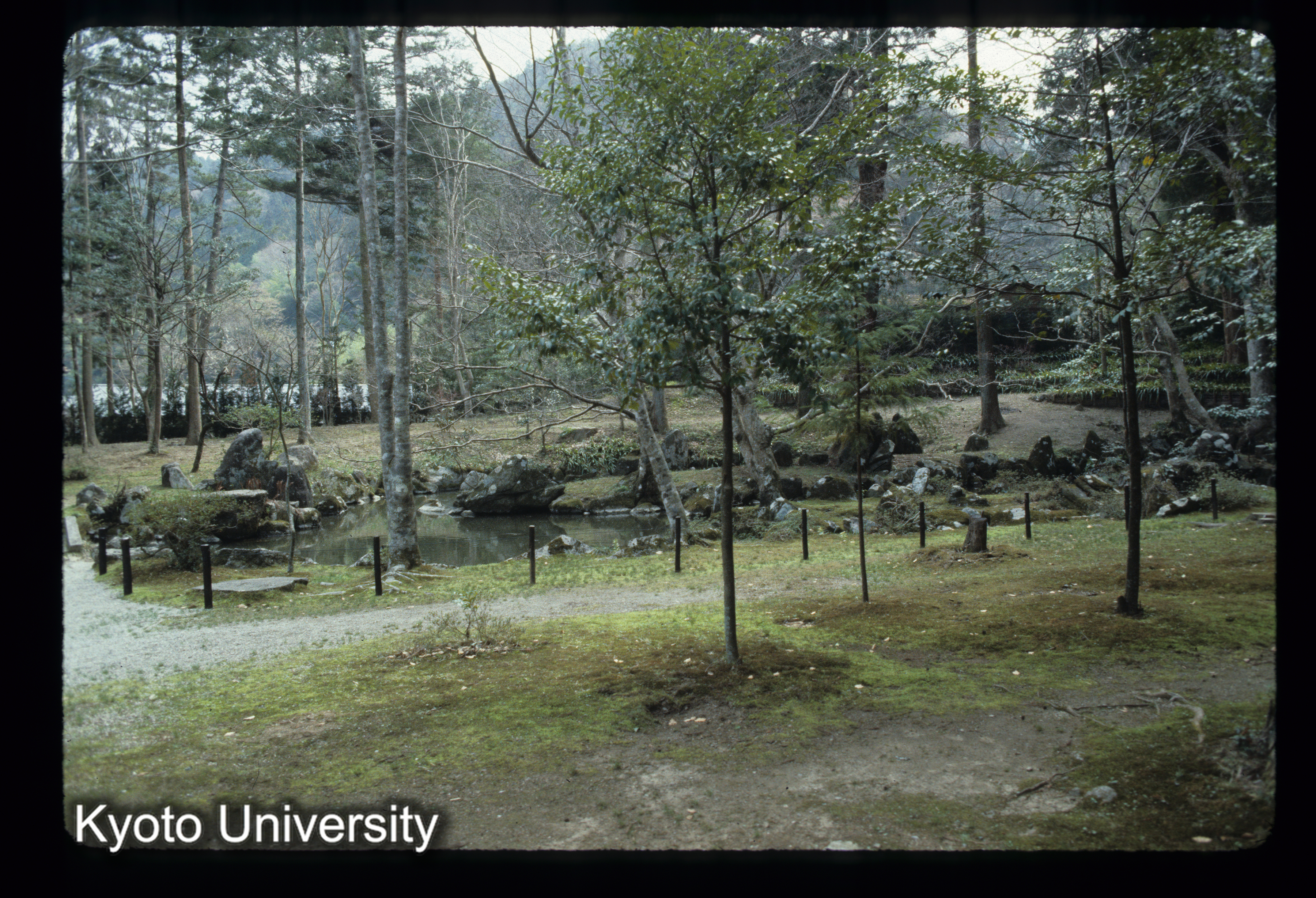 ［スライド］ (1)