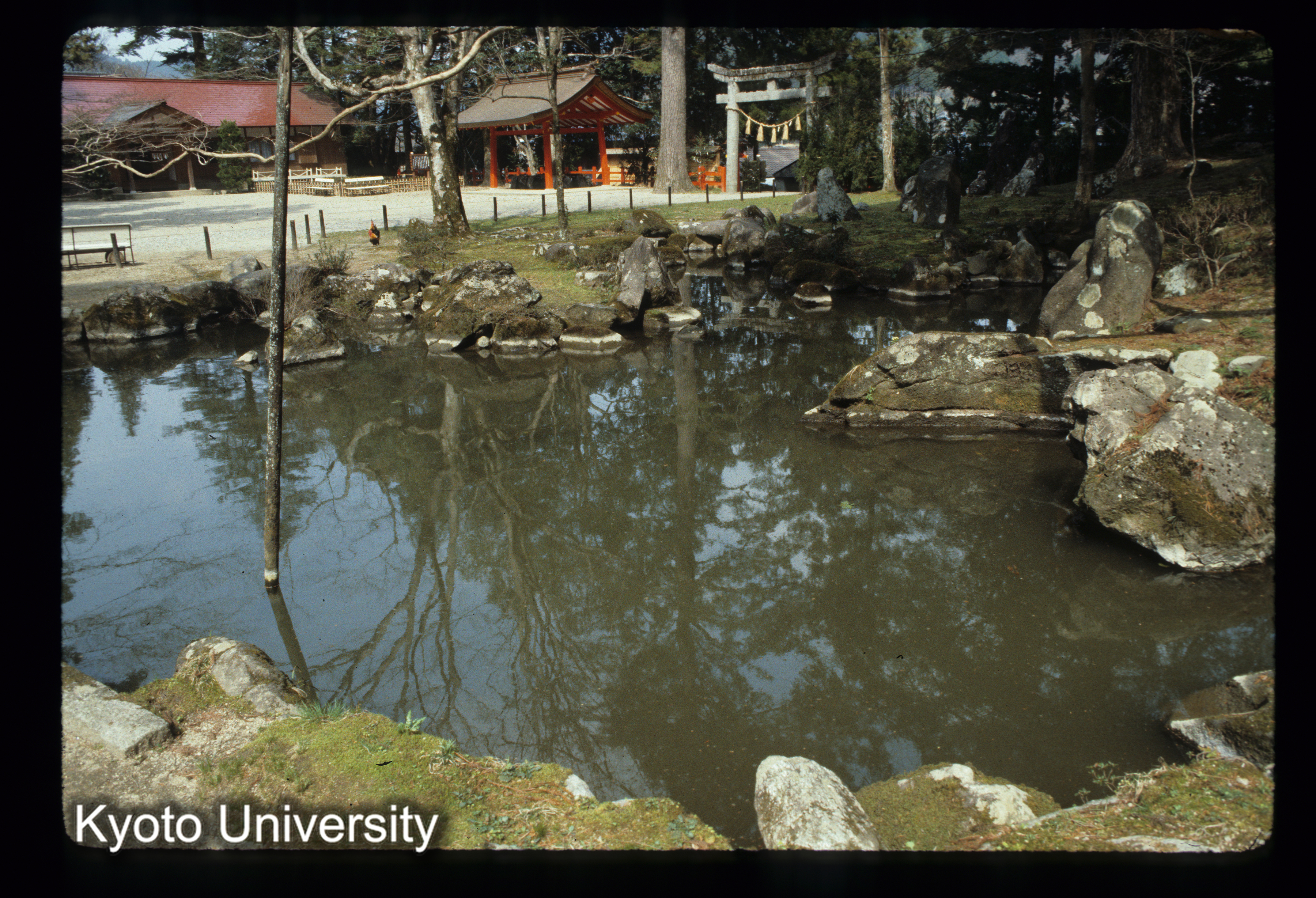 ［スライド］ (1)