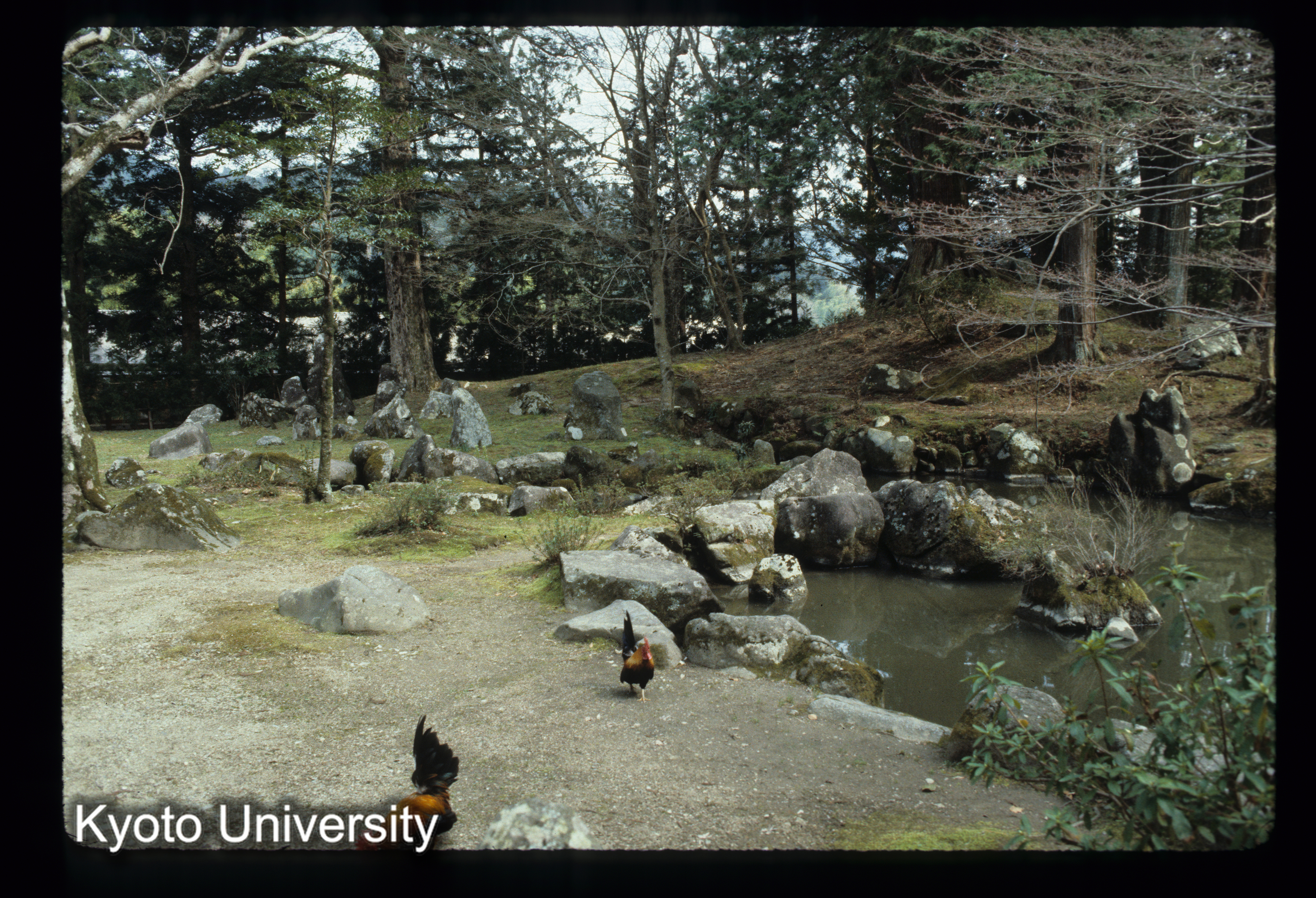 ［スライド］ (1)