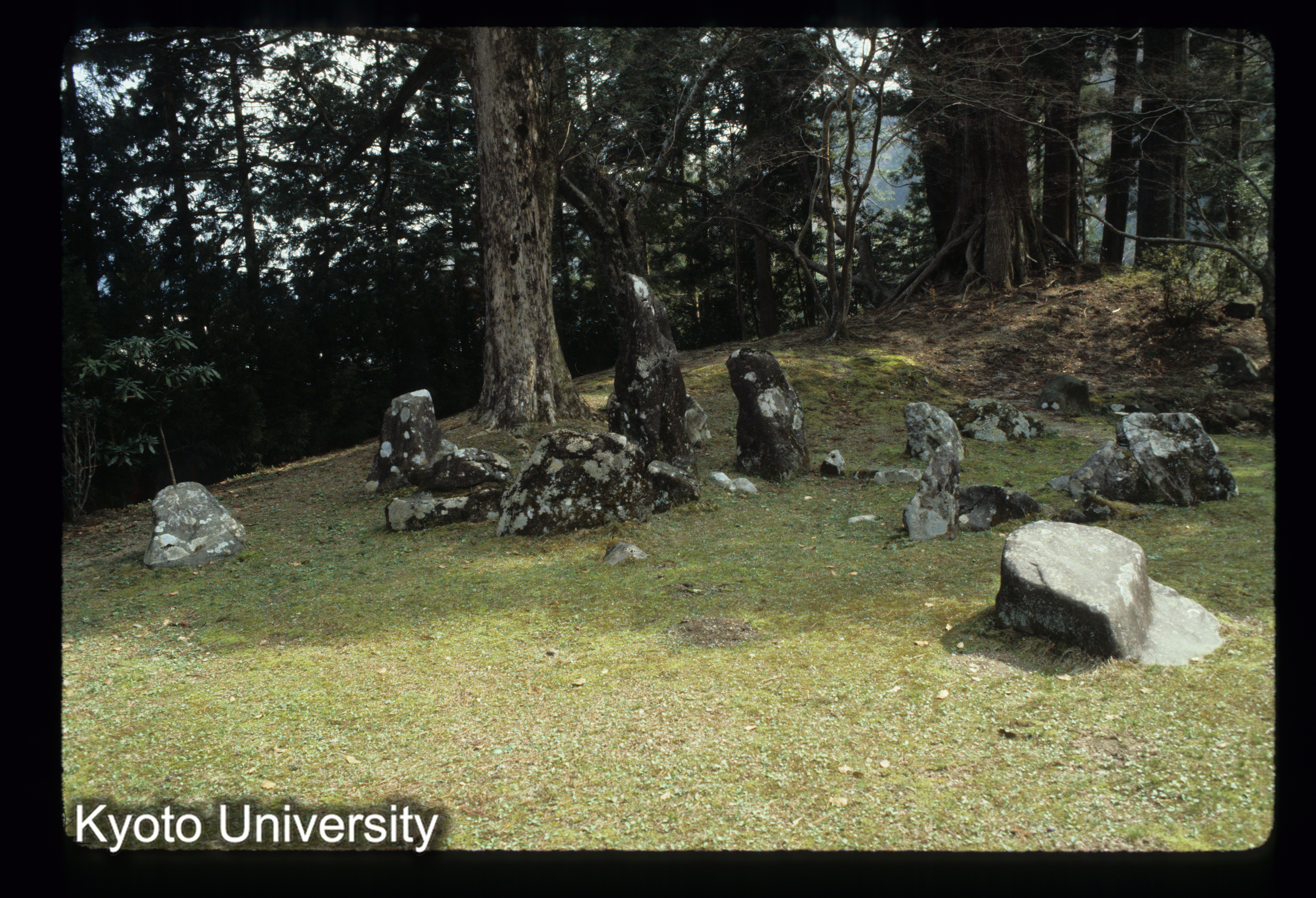 ［スライド］ (1)