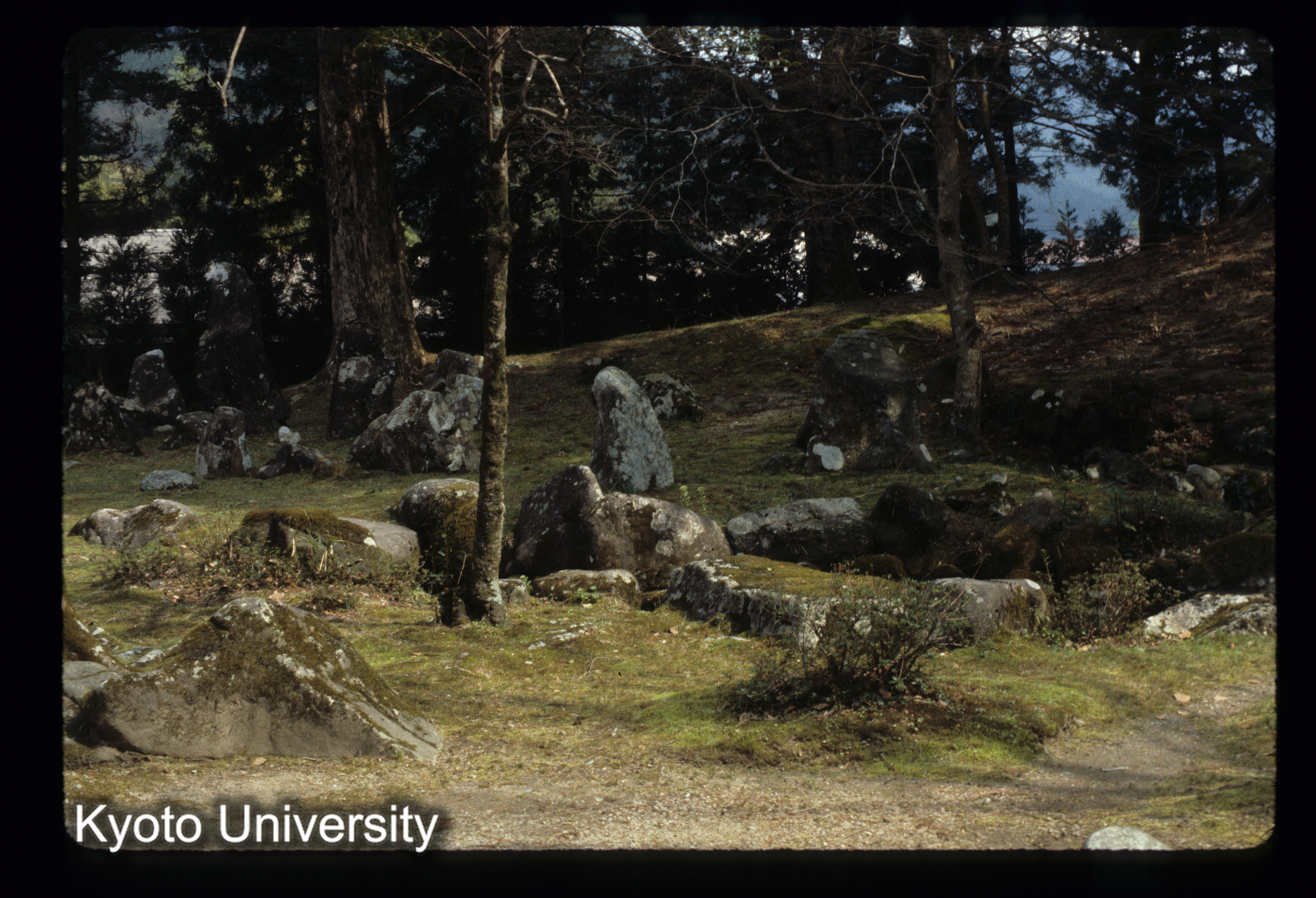 ［スライド］ (1)