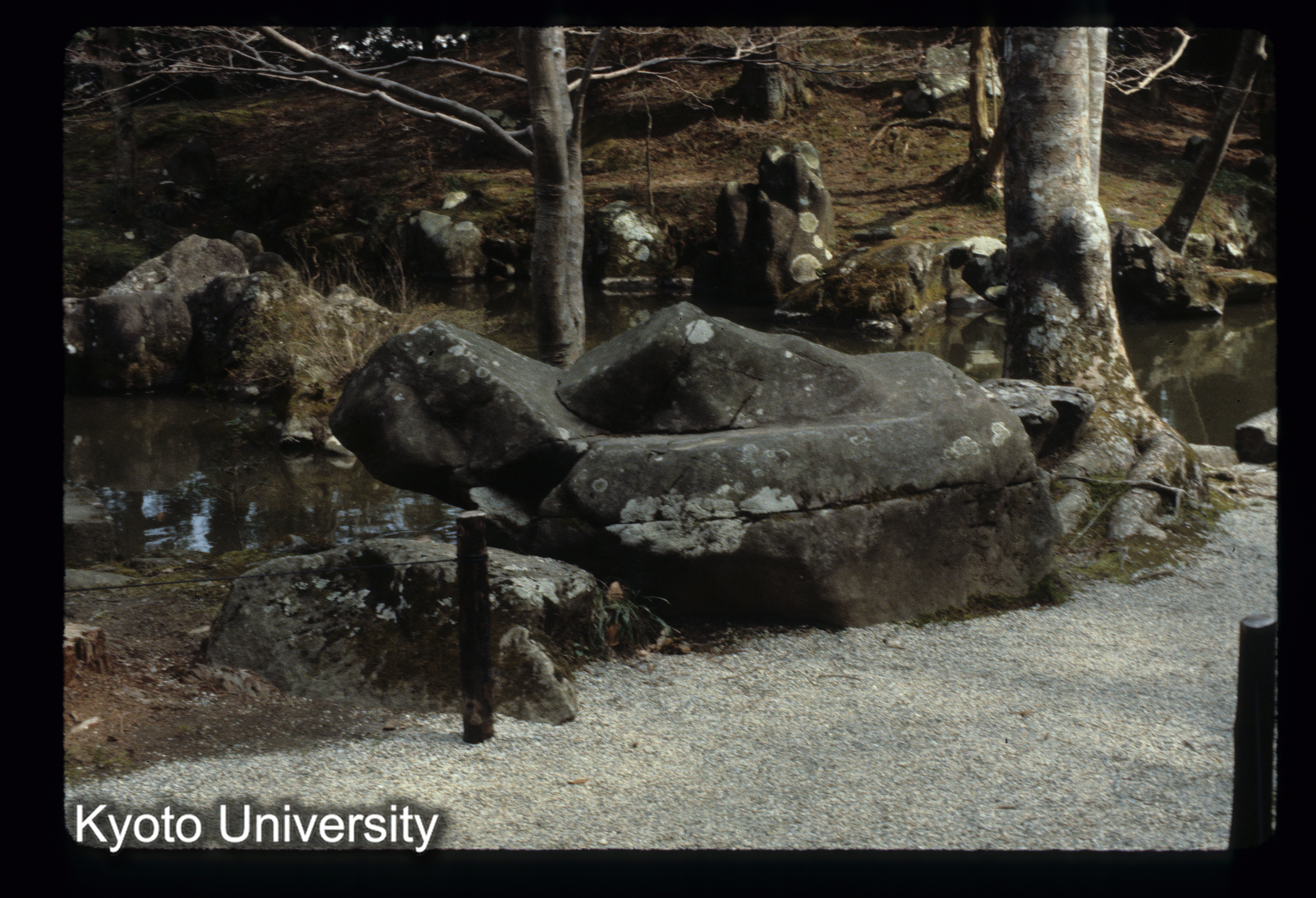 ［スライド］ (1)