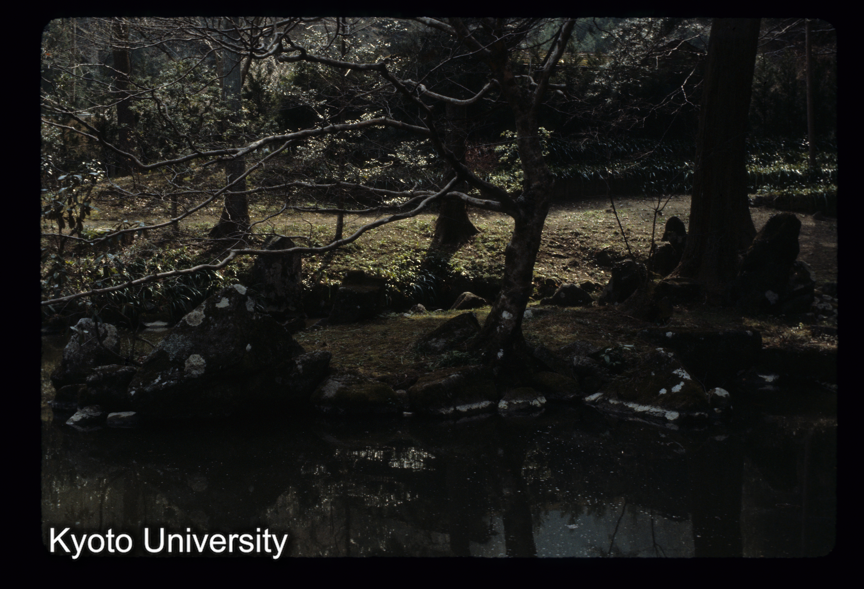 ［スライド］ (1)