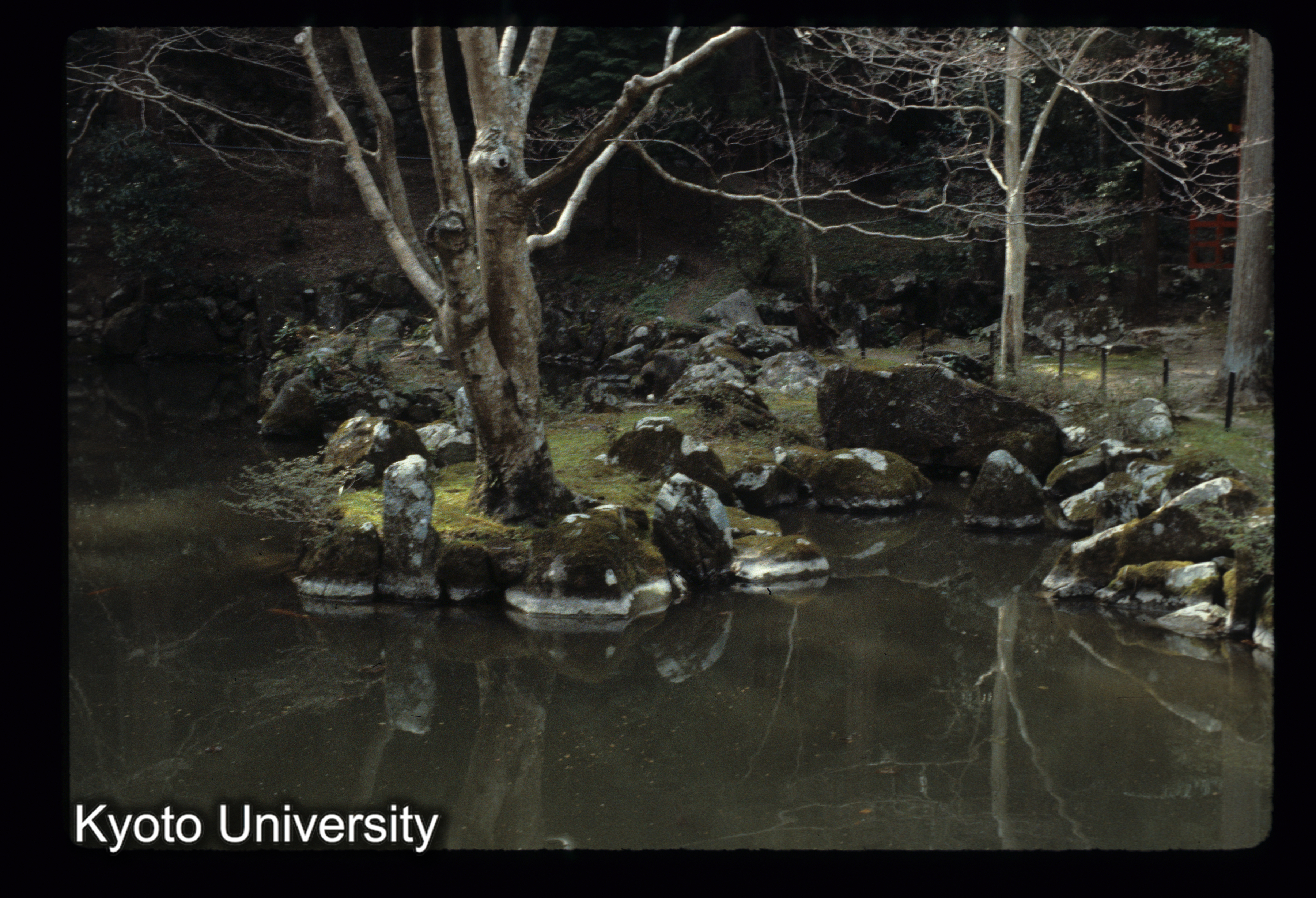 ［スライド］ (1)