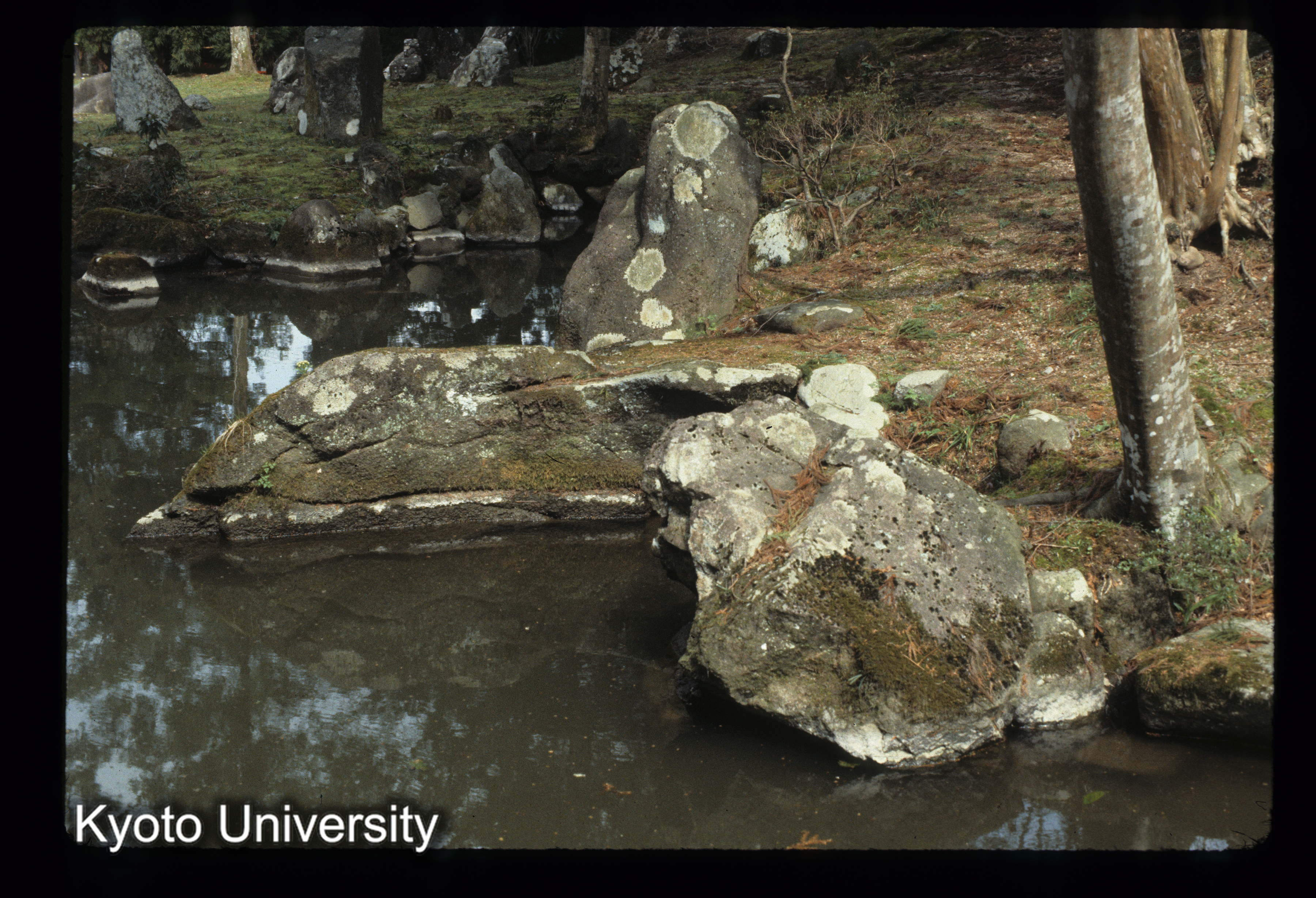 ［スライド］ (1)