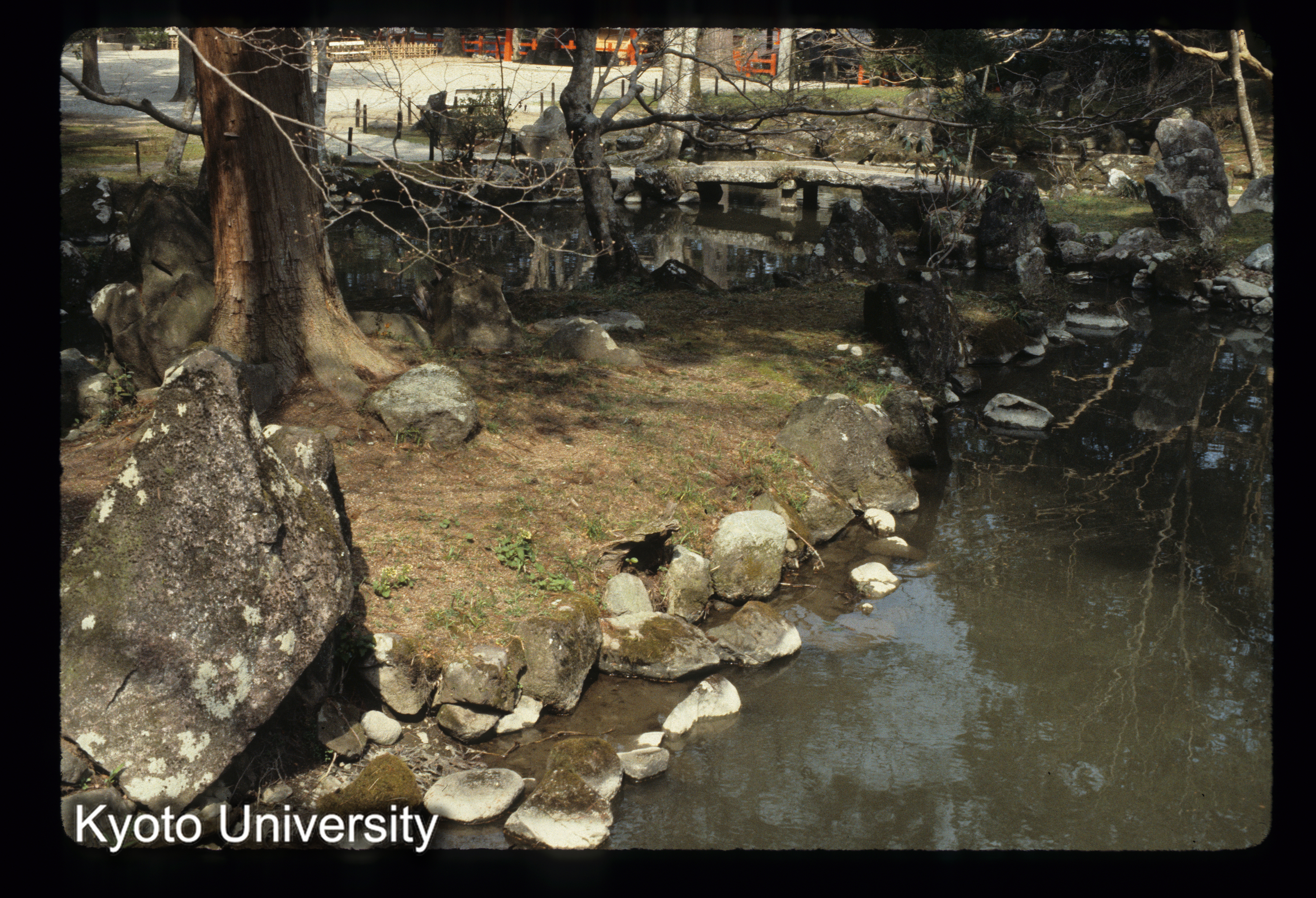 ［スライド］ (1)