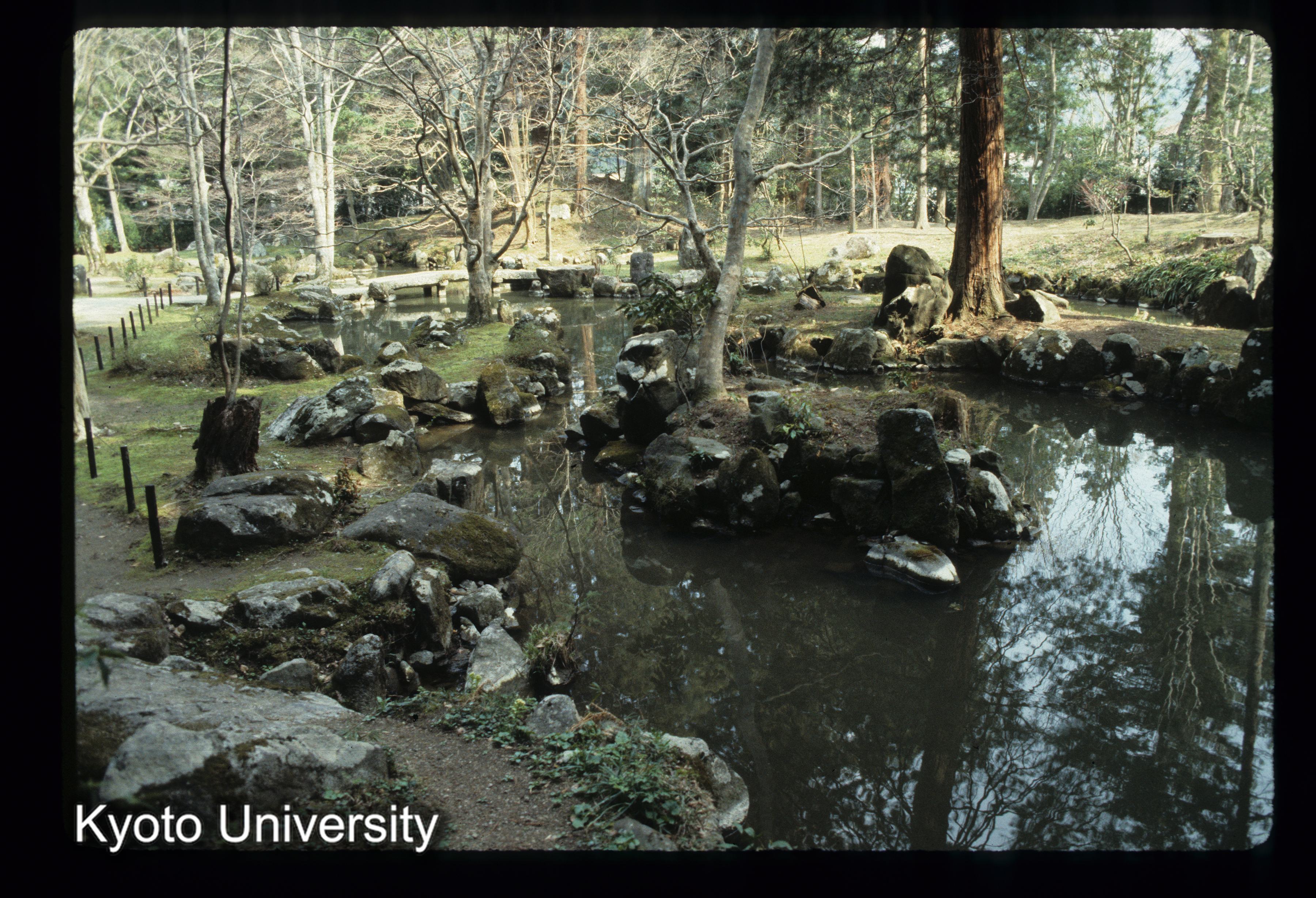 ［スライド］ (1)