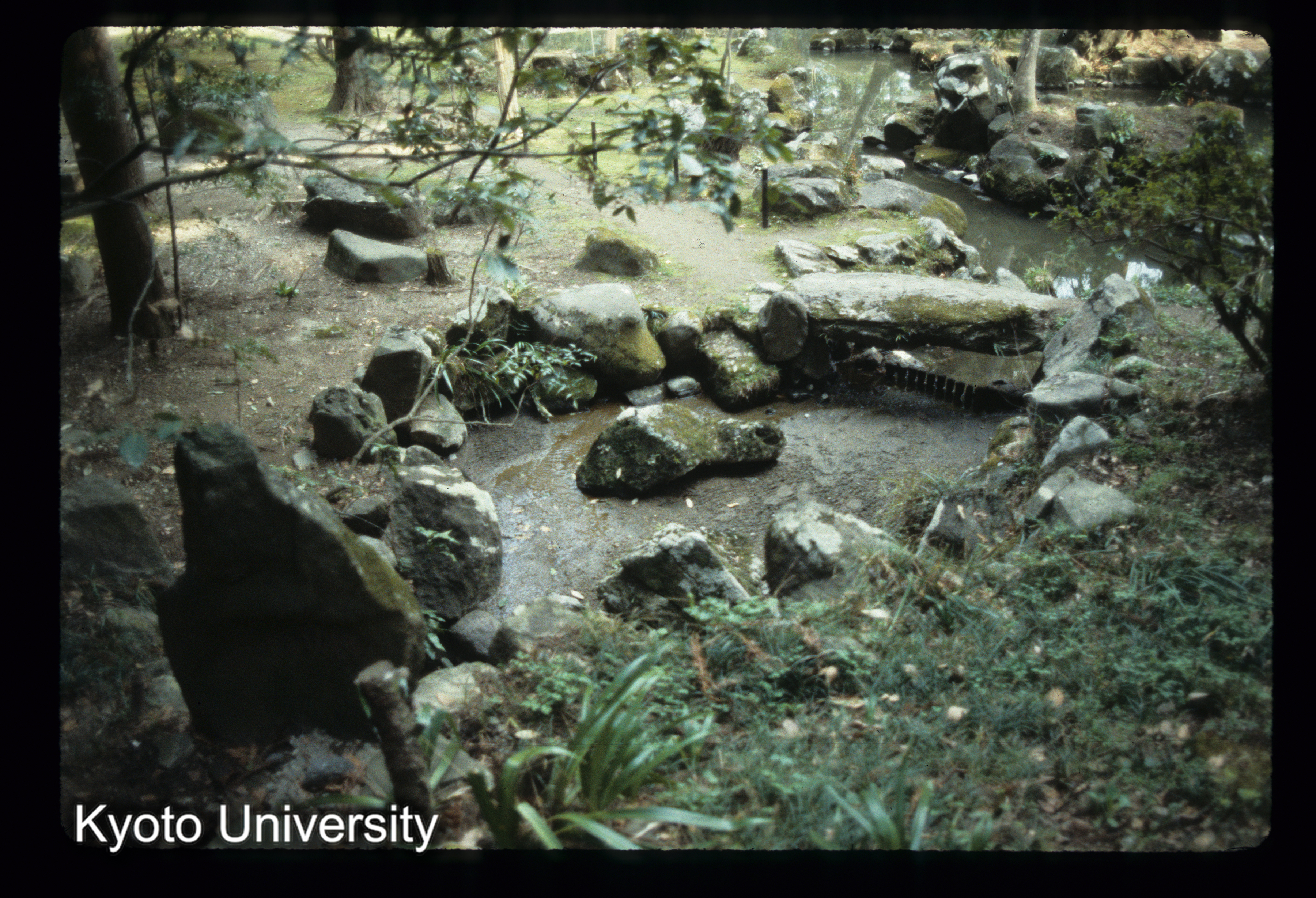 ［スライド］ (1)