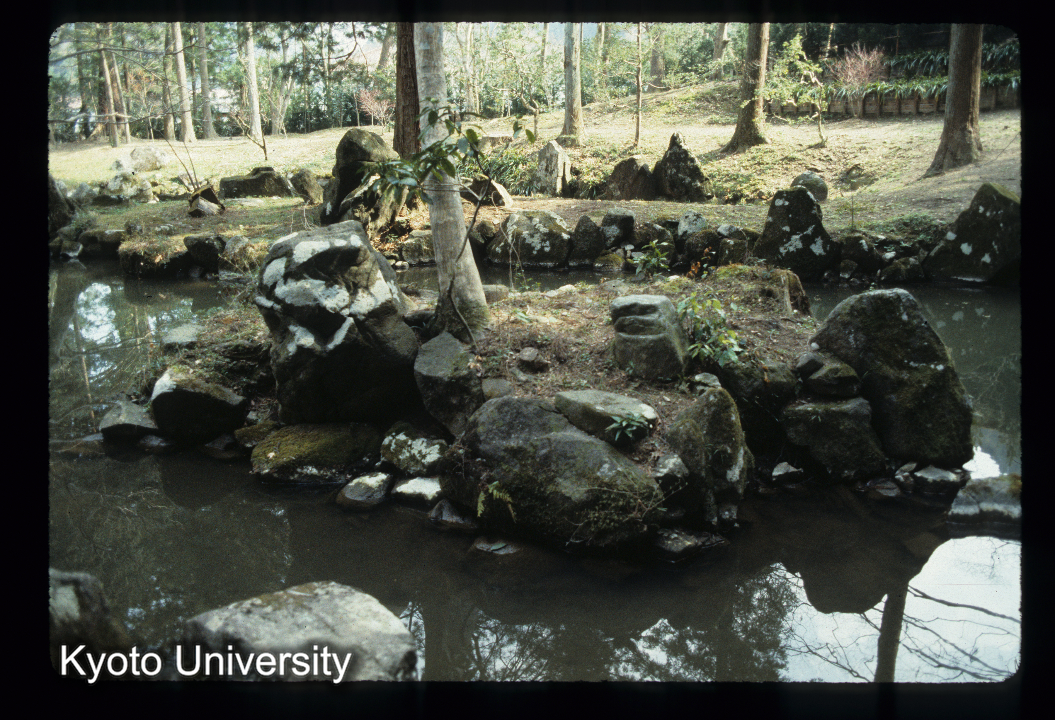 ［スライド］ (1)