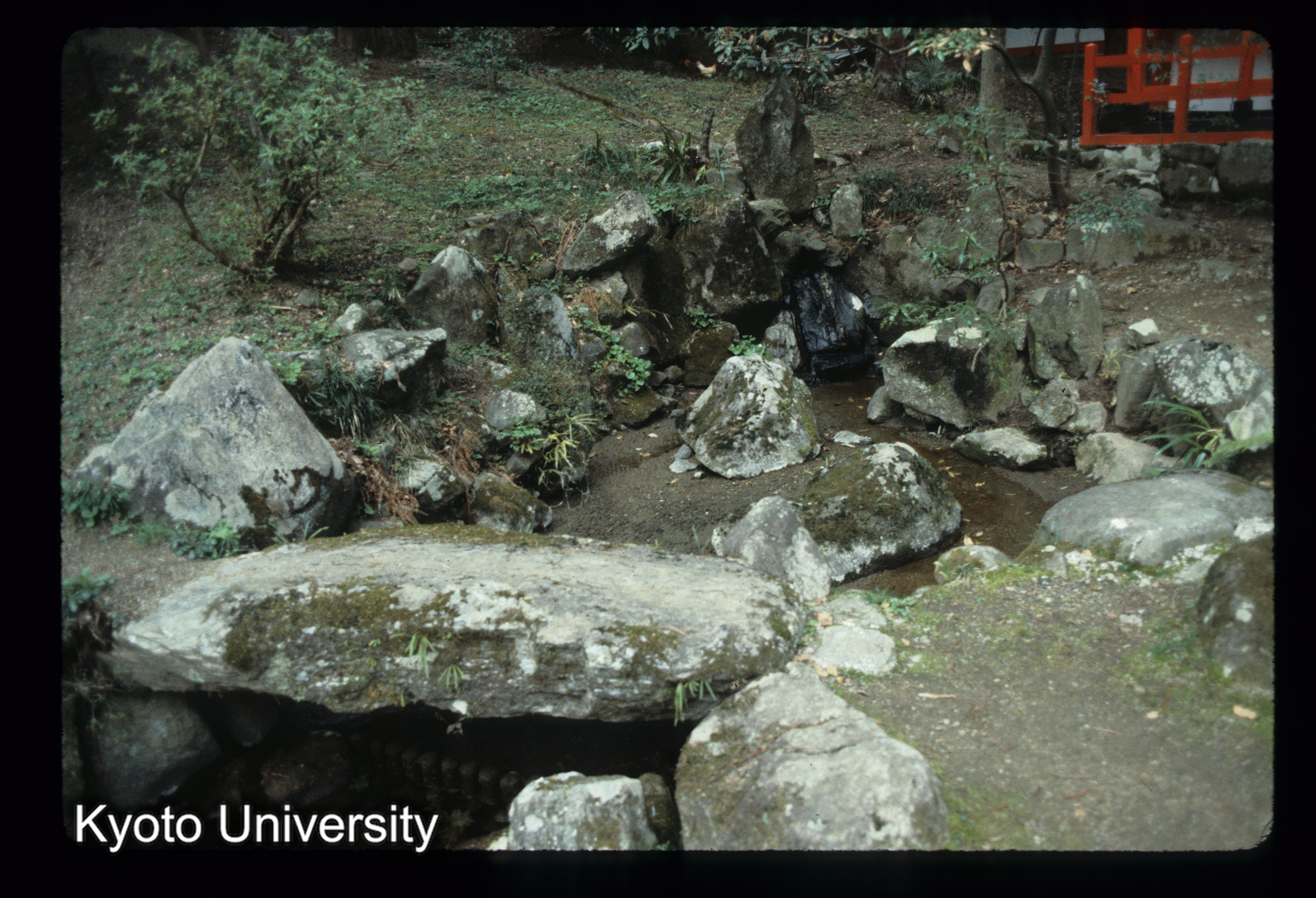 ［スライド］ (1)