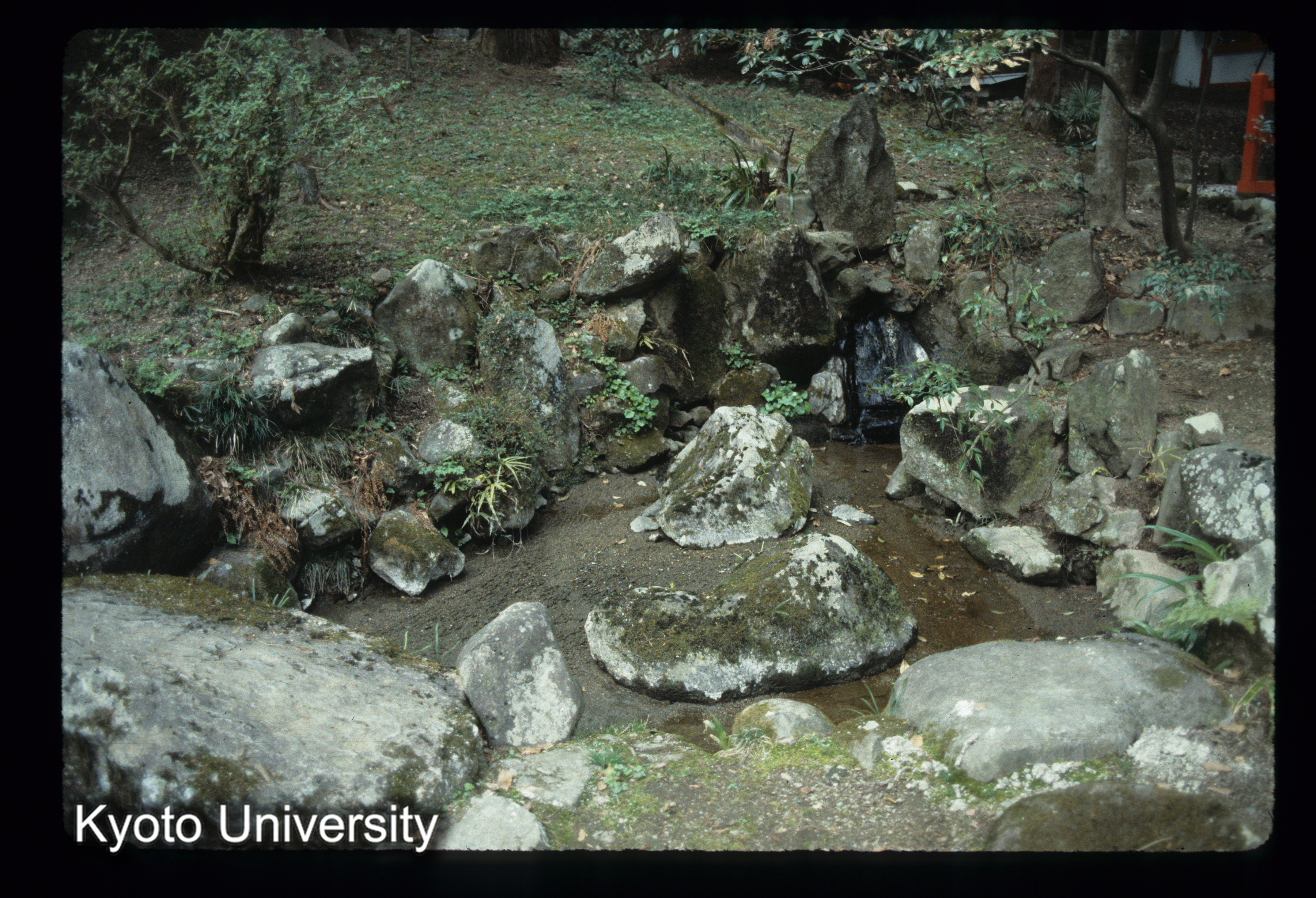 ［スライド］ (1)