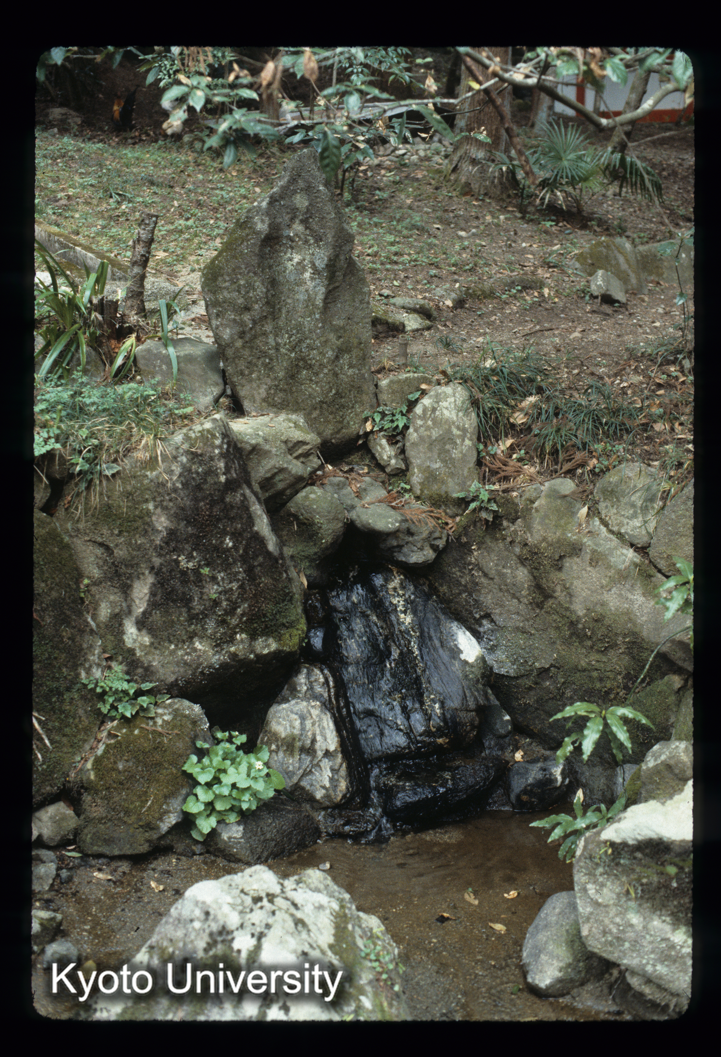 ［スライド］ (1)