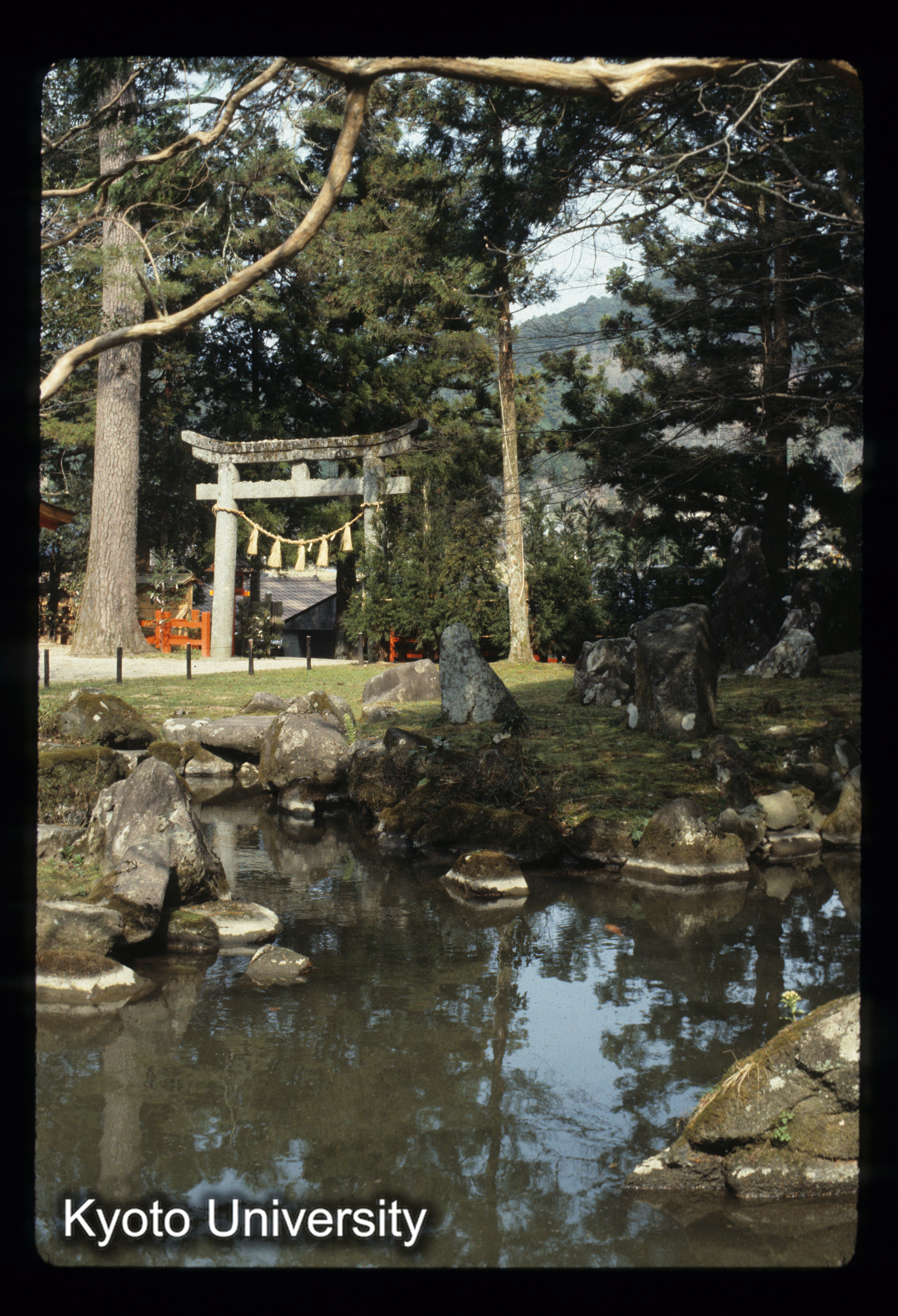 ［スライド］ (1)