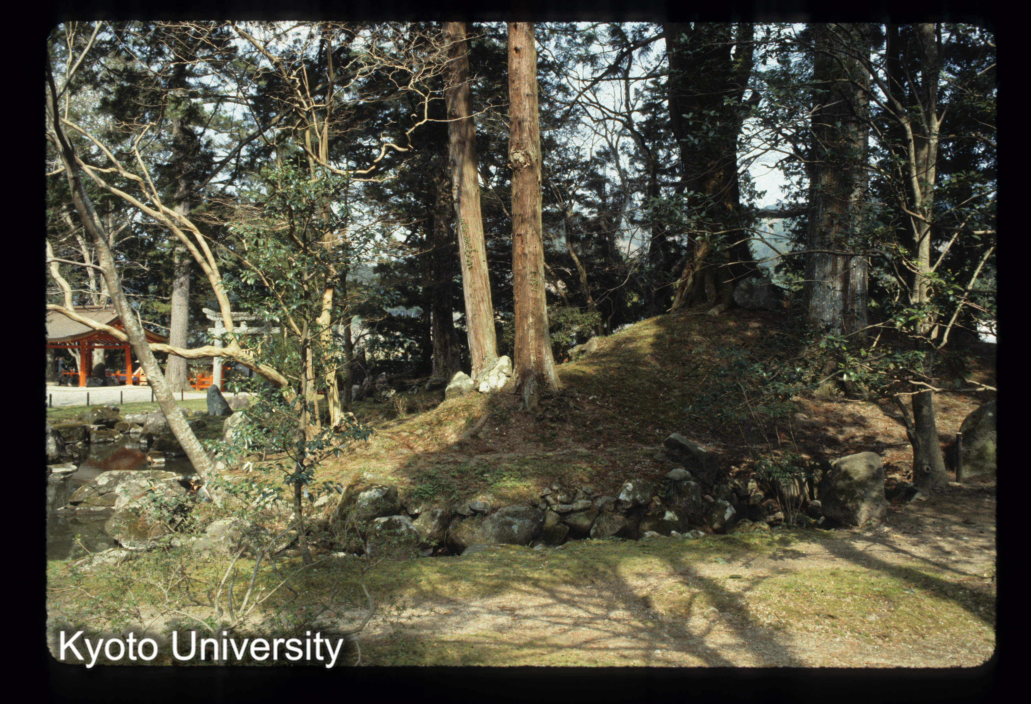 ［スライド］ (1)