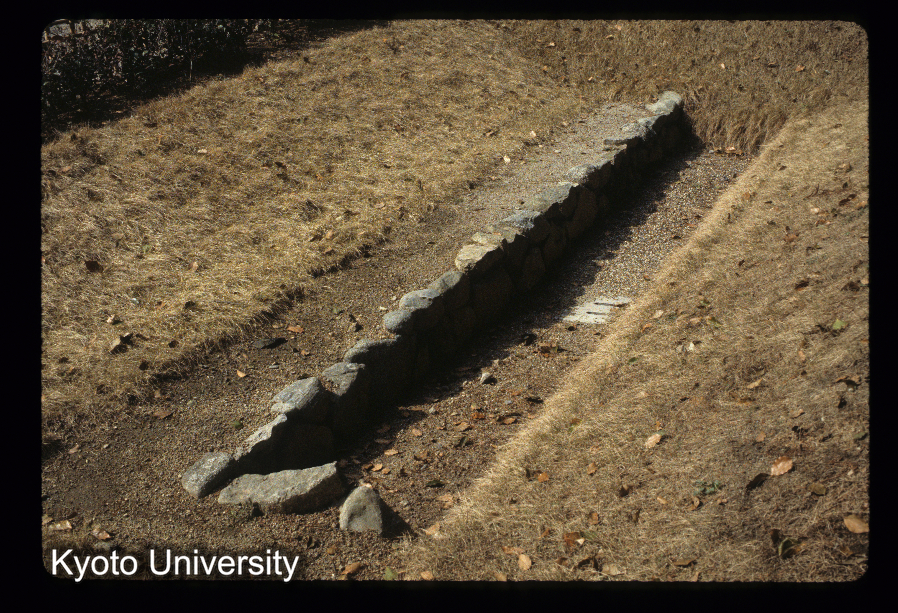 ［スライド］ (1)